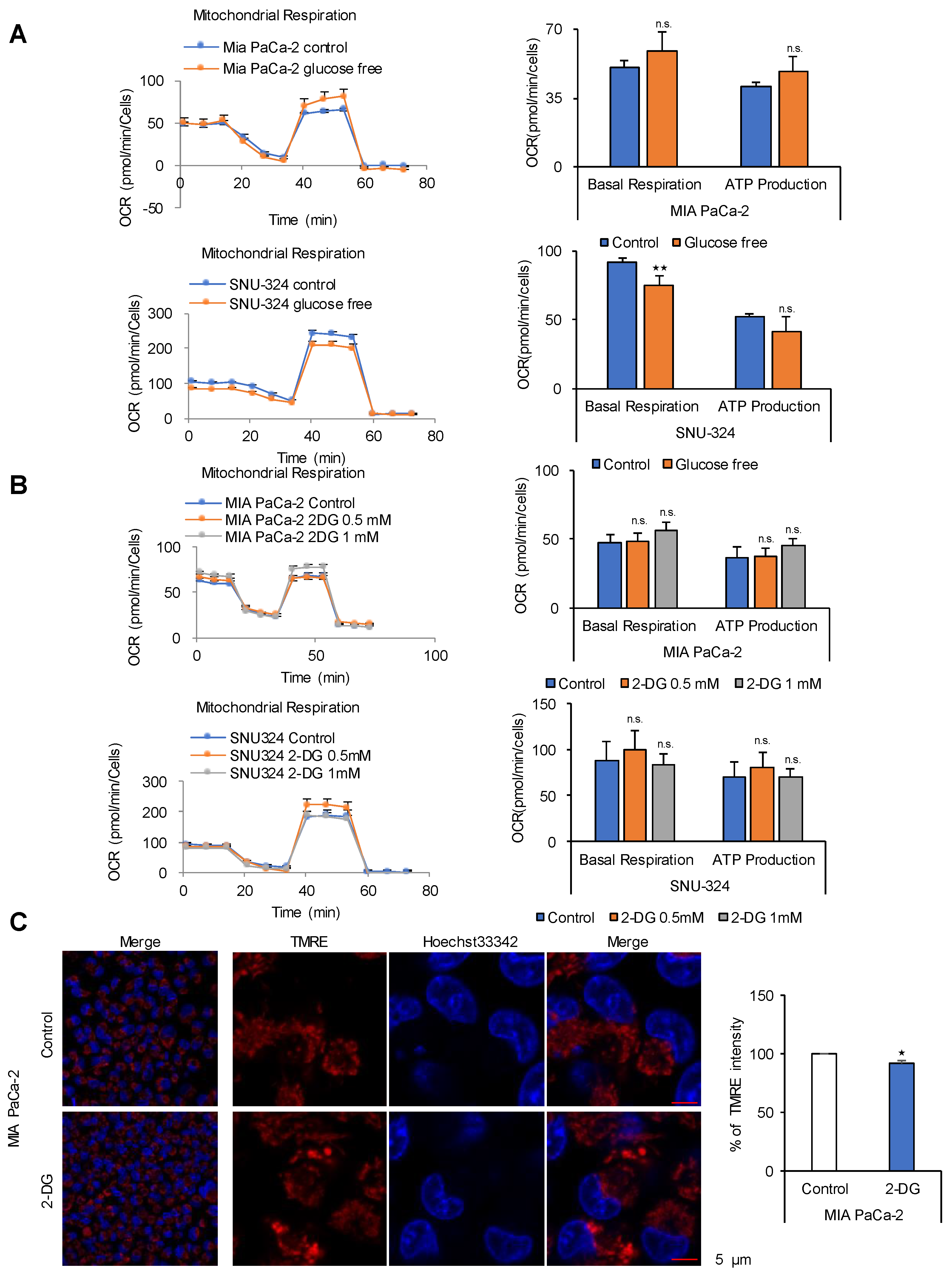 Cancers 12 02477 g001