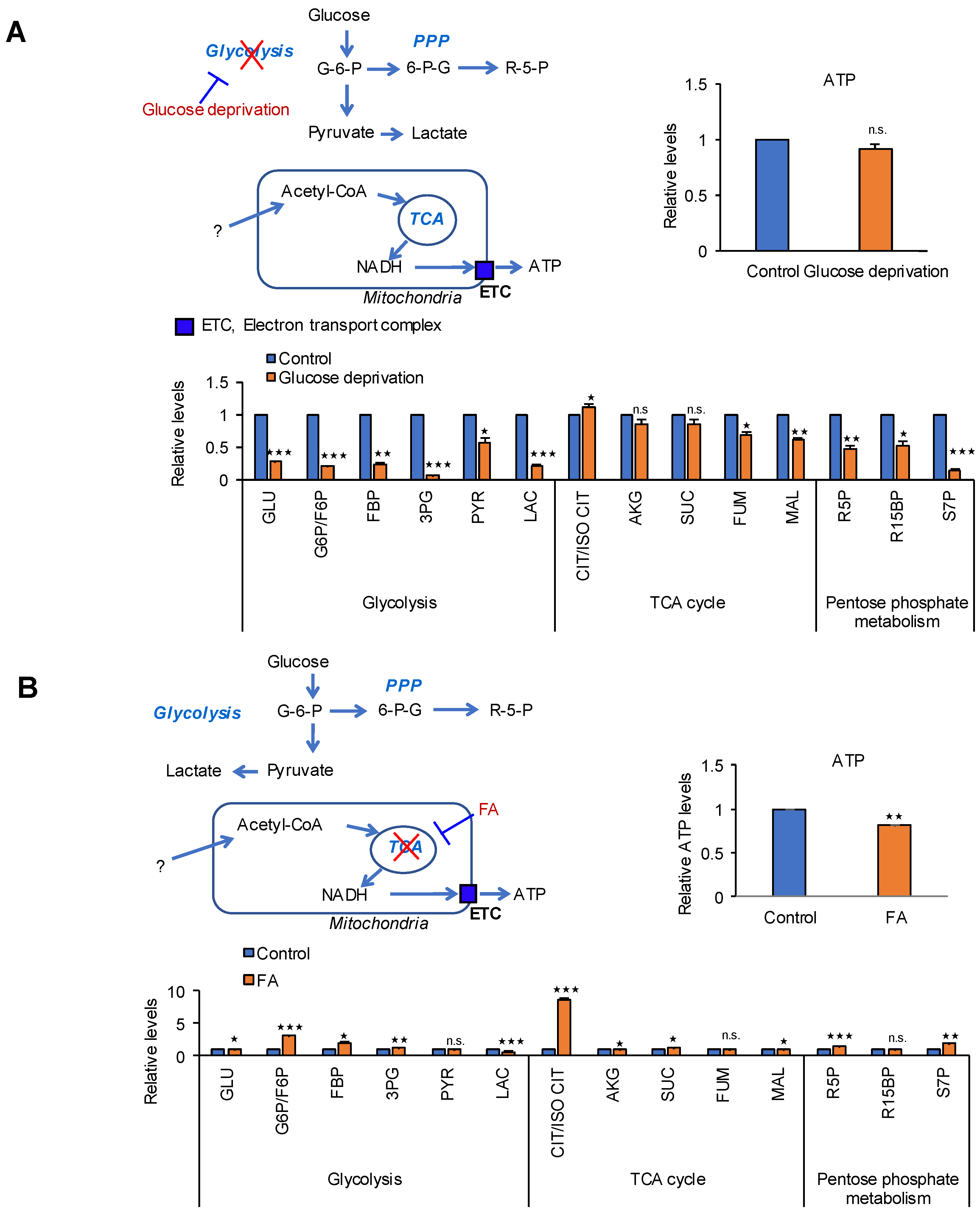 Cancers 12 02477 g002a