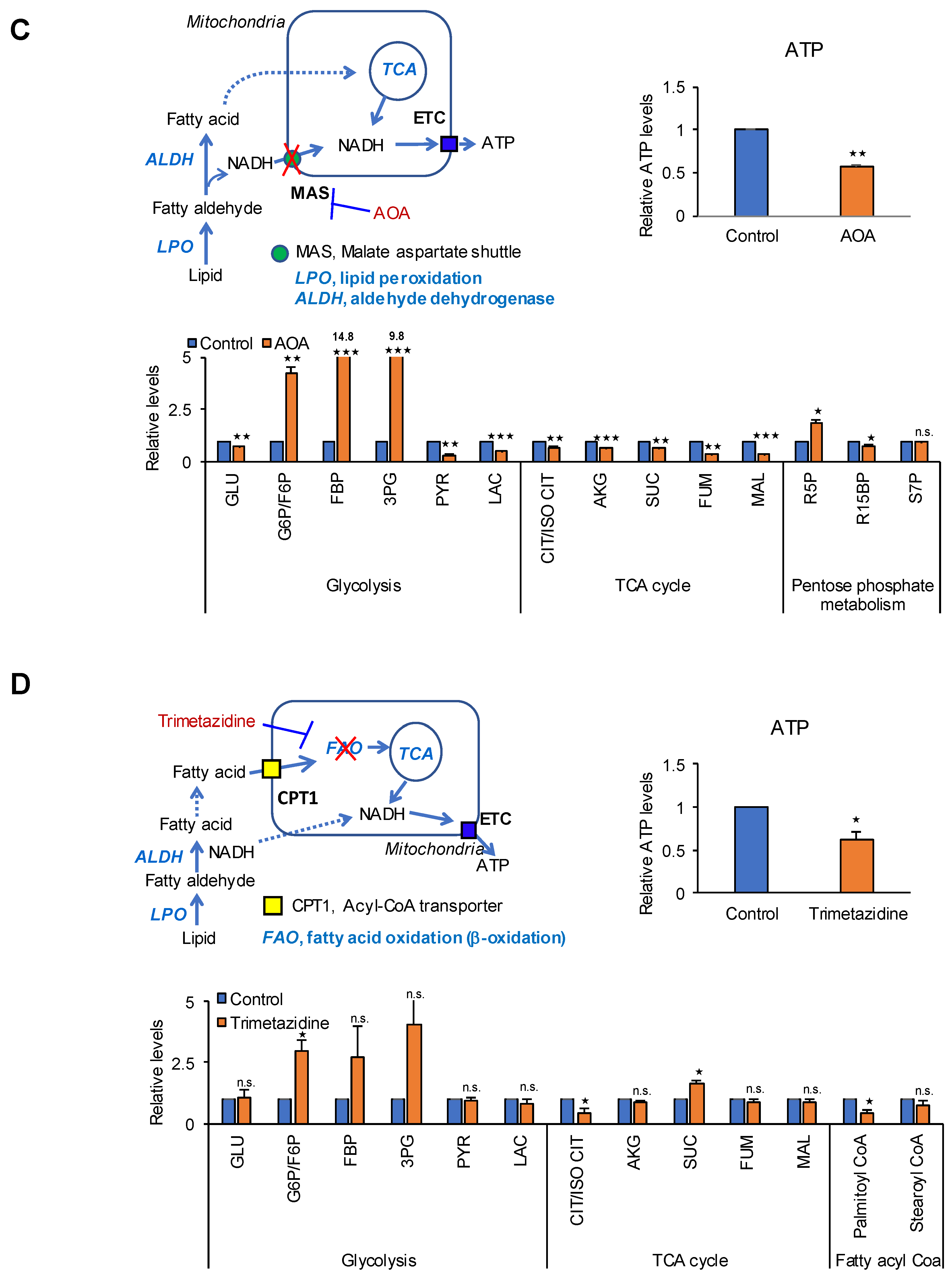 Cancers 12 02477 g002b