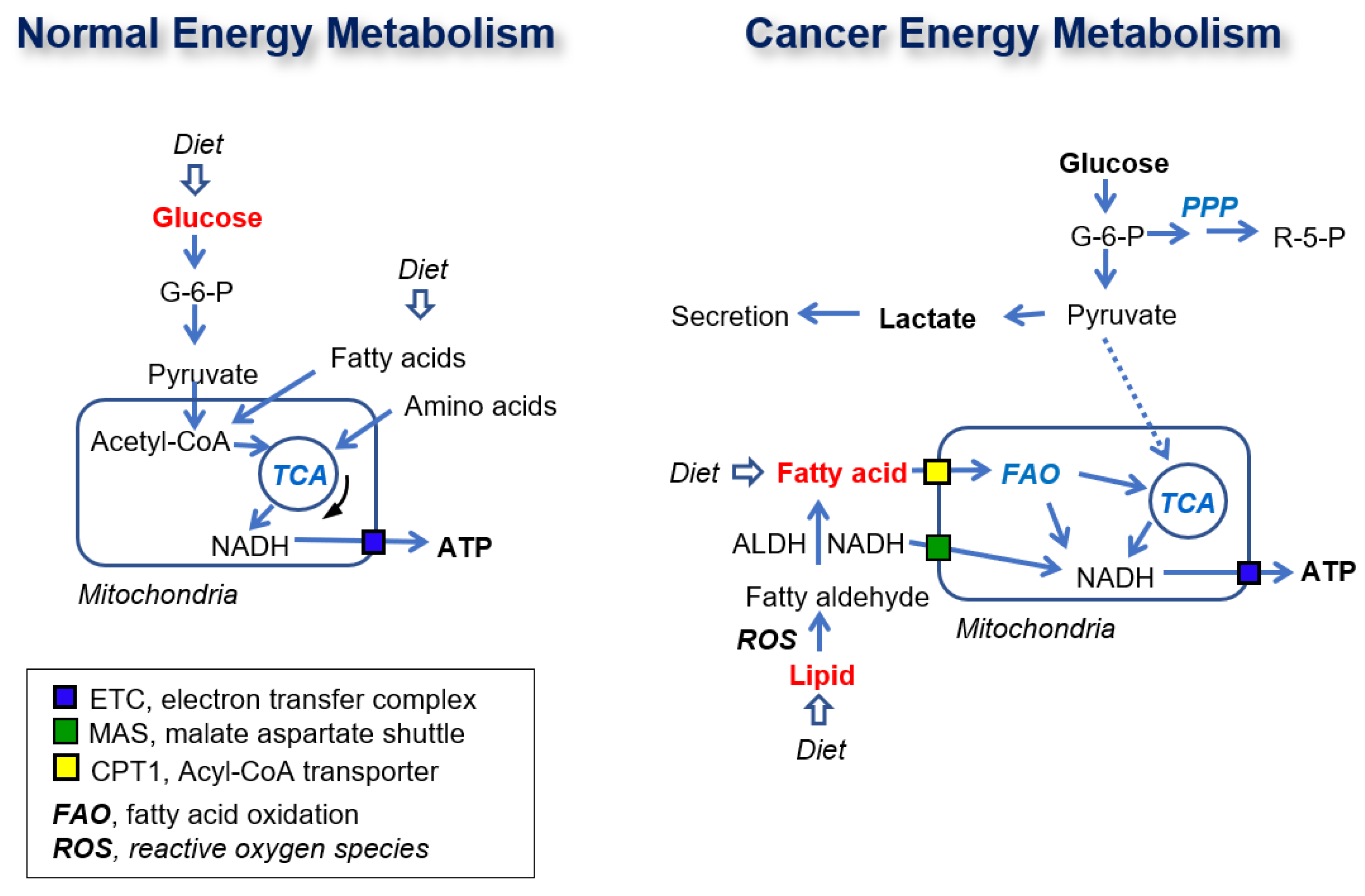 Cancers 12 02477 g008
