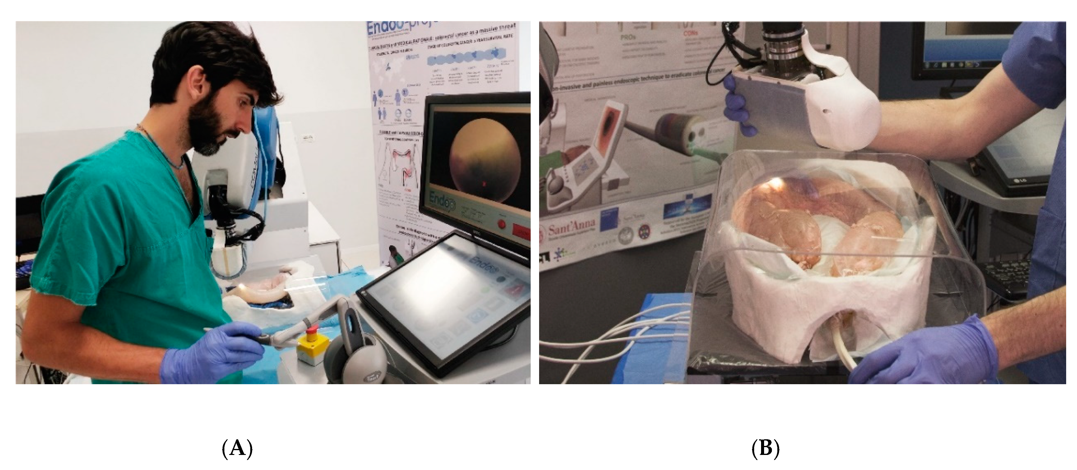 Cancers 12 02485 g003 Cancers 12 02485 g003