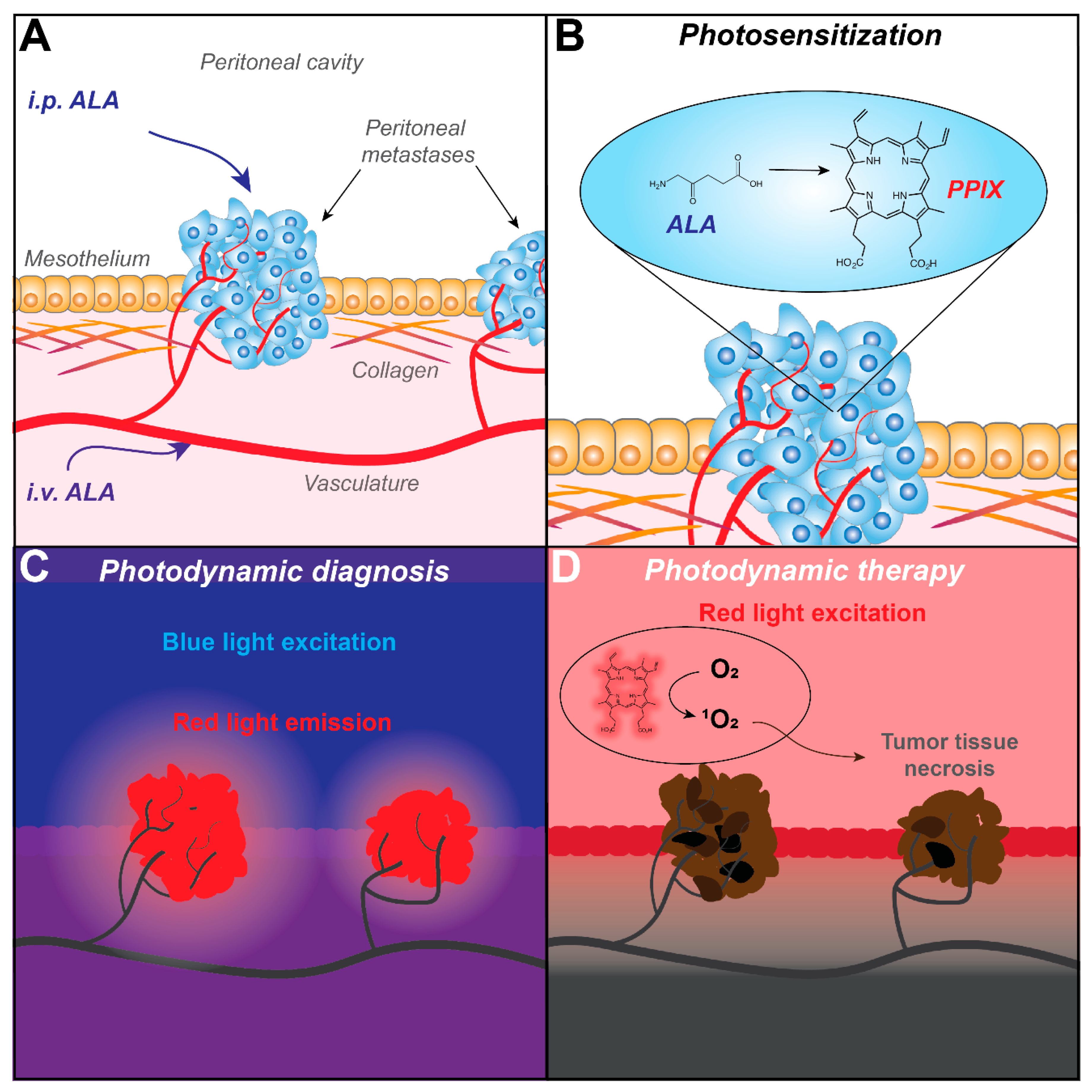 Cancers 12 02491 g001