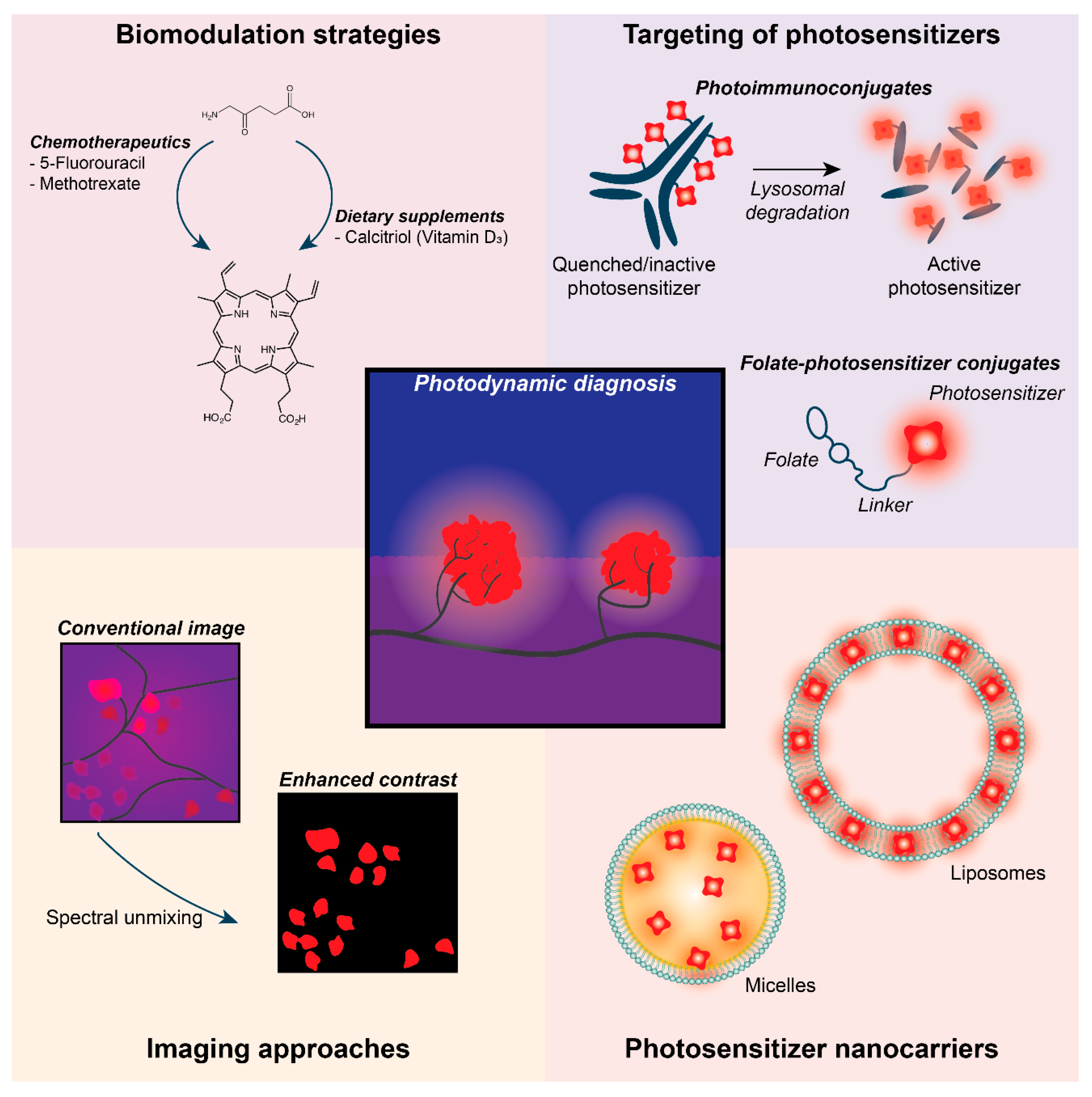 Cancers 12 02491 g002