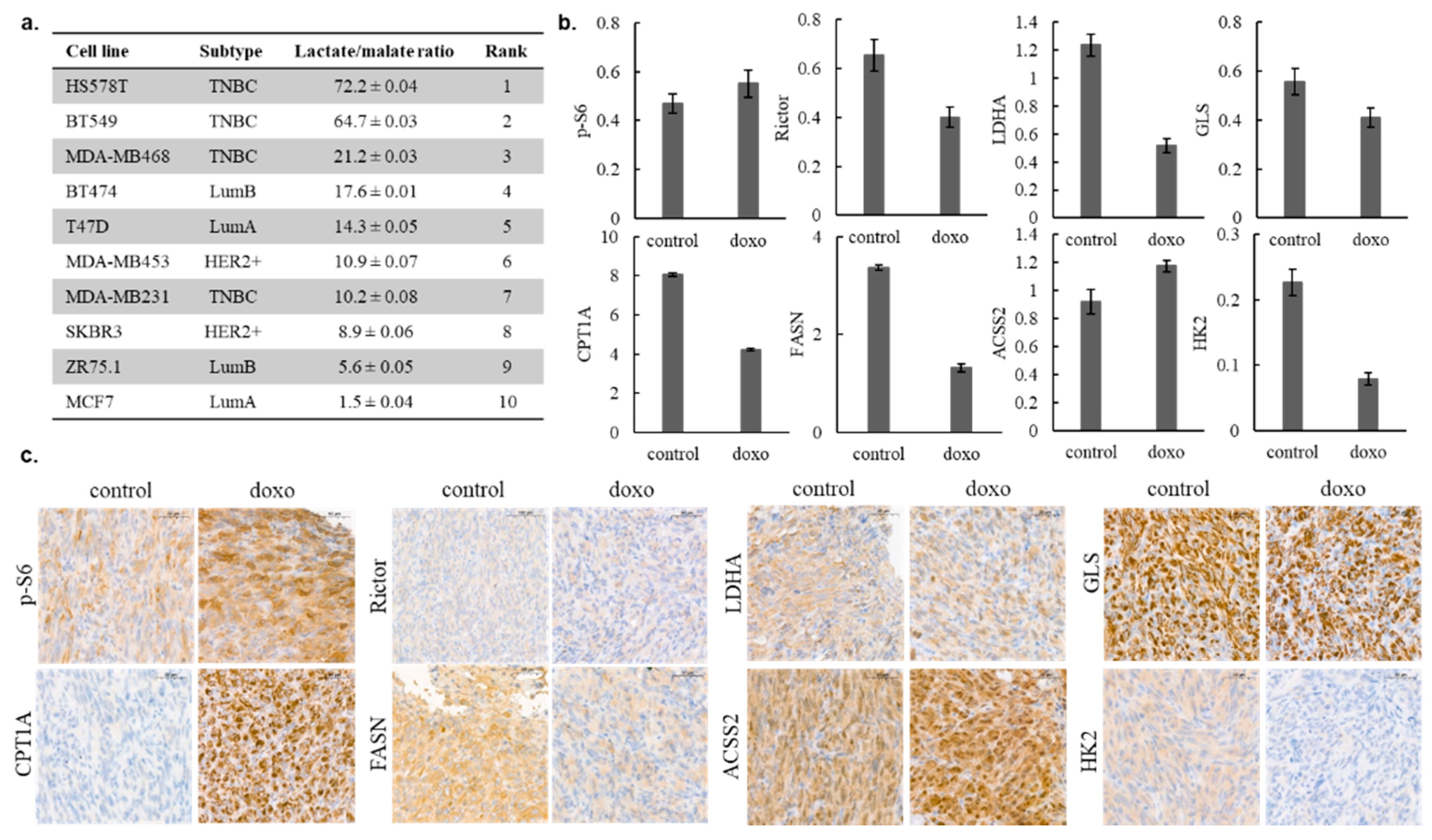 Cancers 12 02492 g004 Cancers 12 02492 g004
