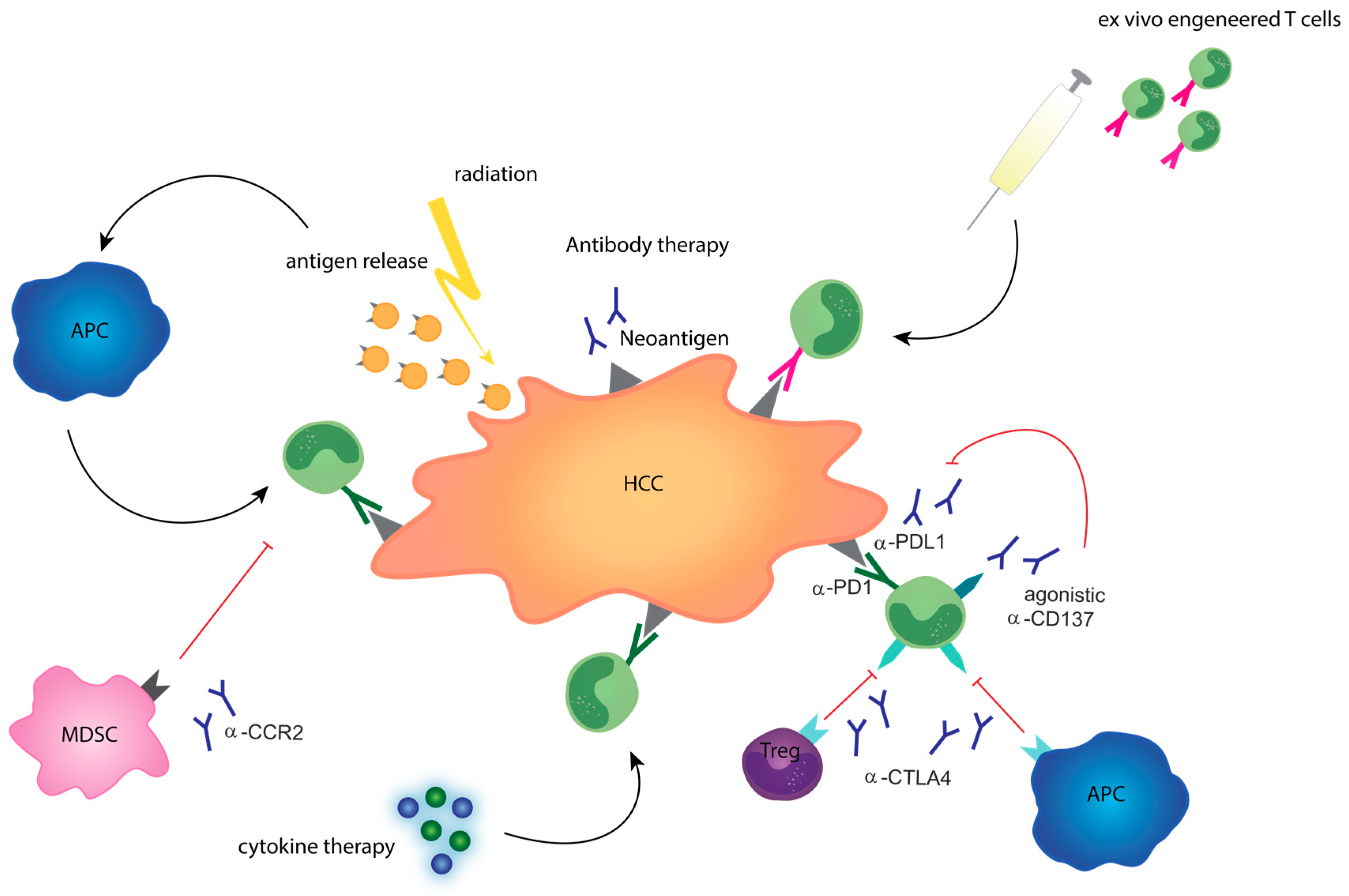 Cancers 12 02495 g001