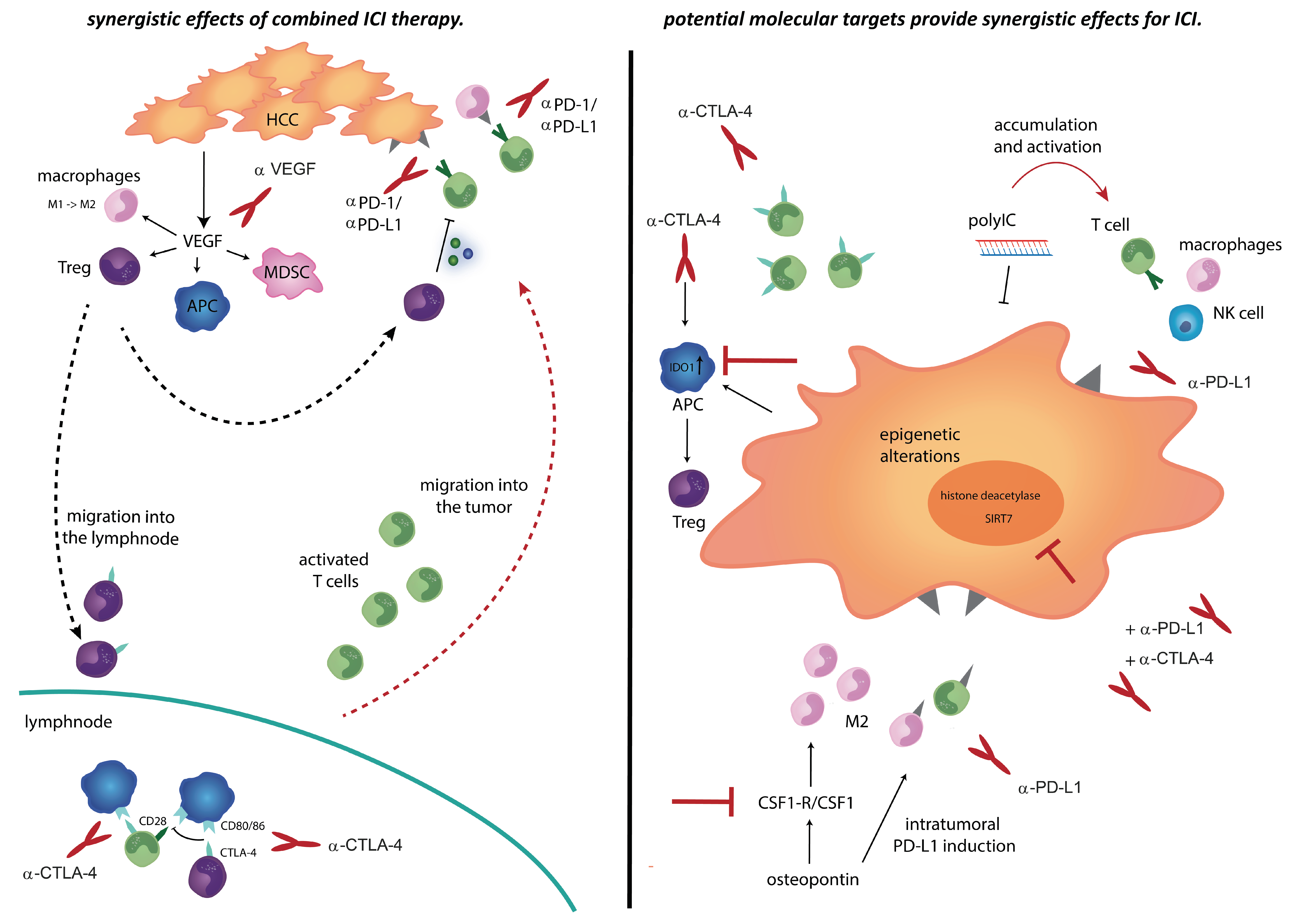 Cancers 12 02495 g002