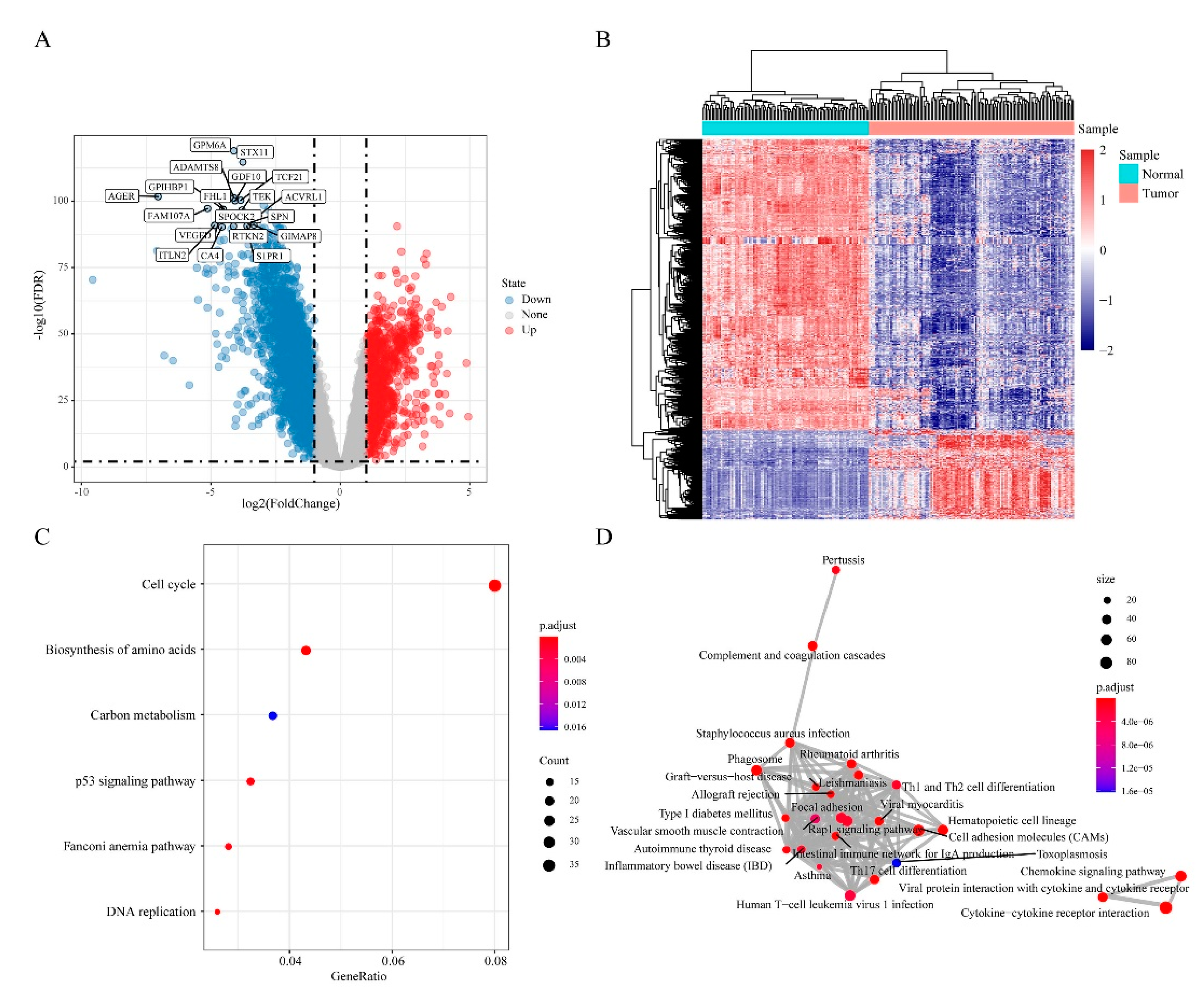 Cancers 12 02496 g003
