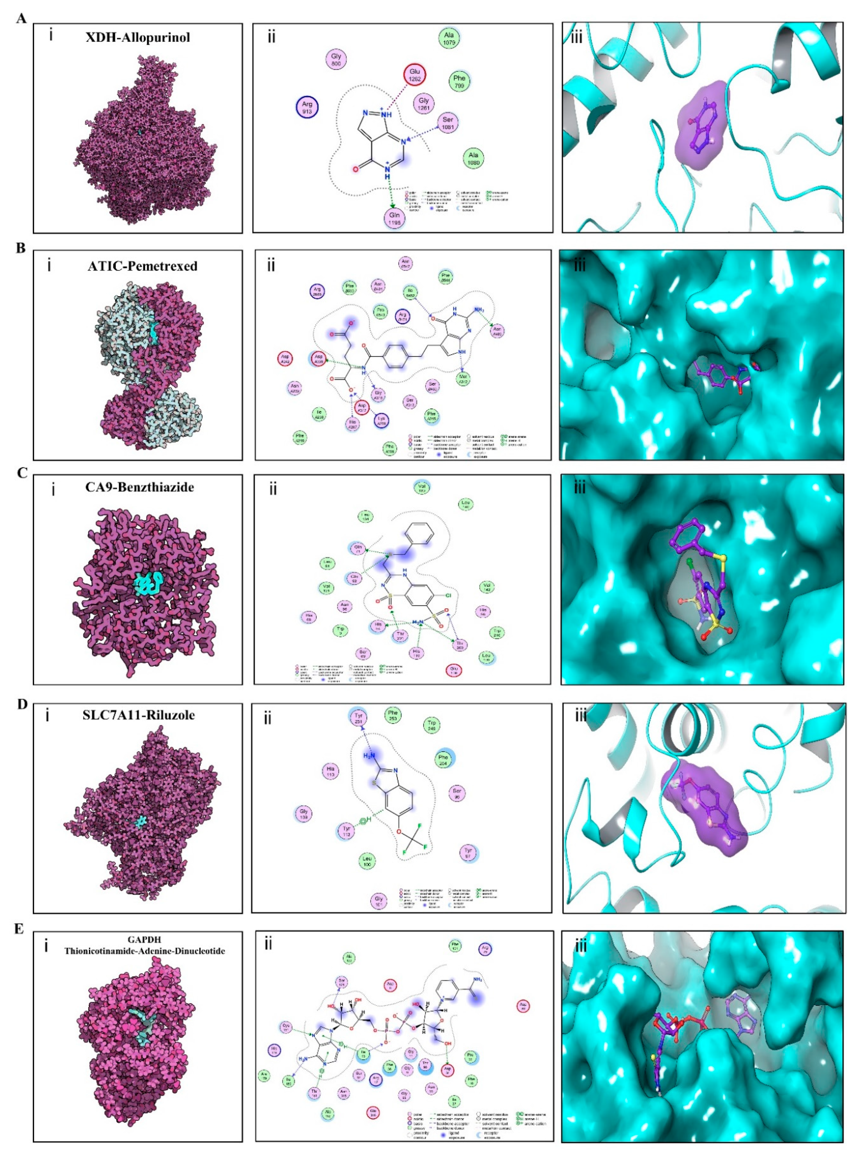 Cancers 12 02496 g010