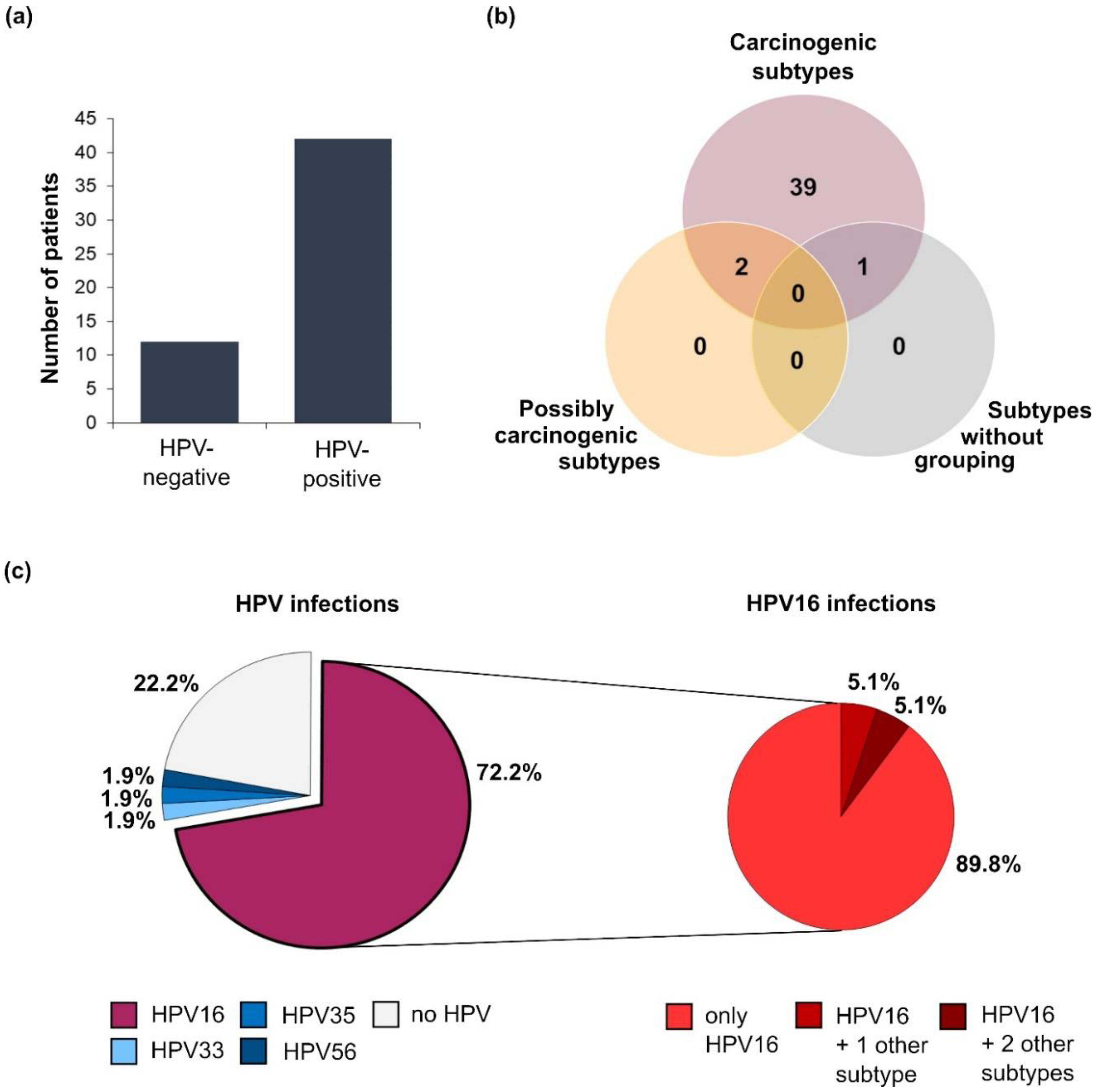 Cancers 12 02516 g002 Cancers 12 02516 g002