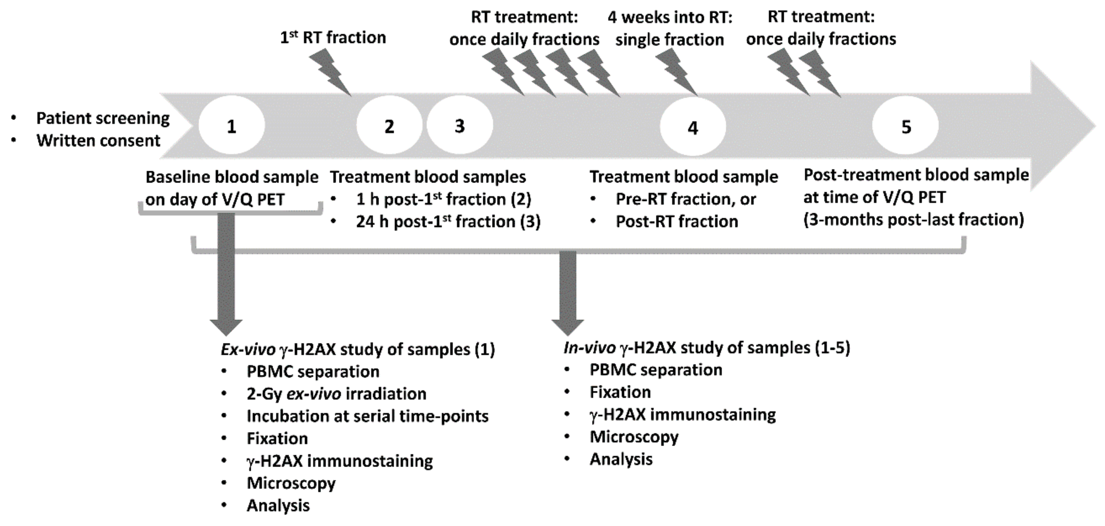 Cancers 12 02517 g001 Cancers 12 02517 g001