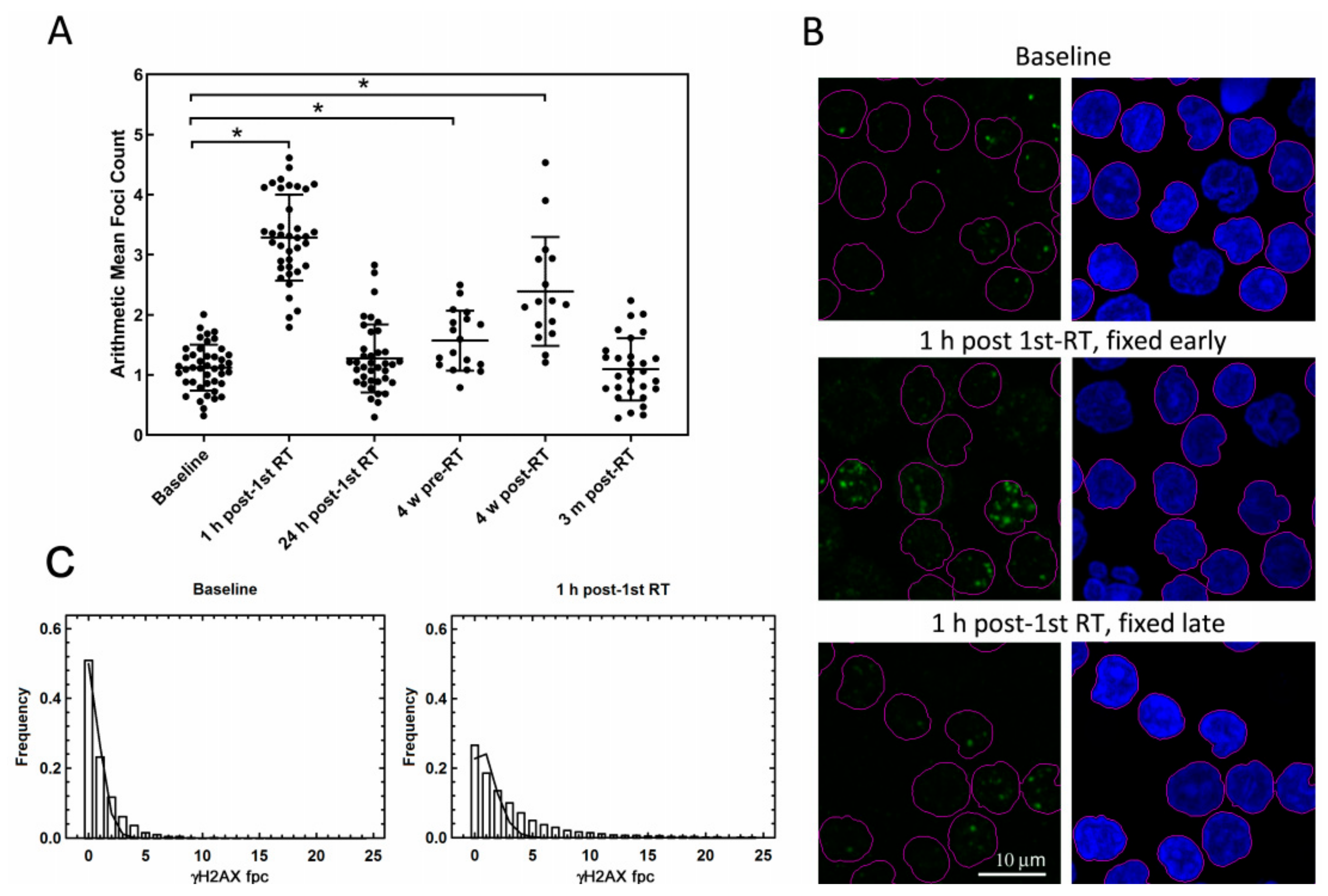 Cancers 12 02517 g002 Cancers 12 02517 g002