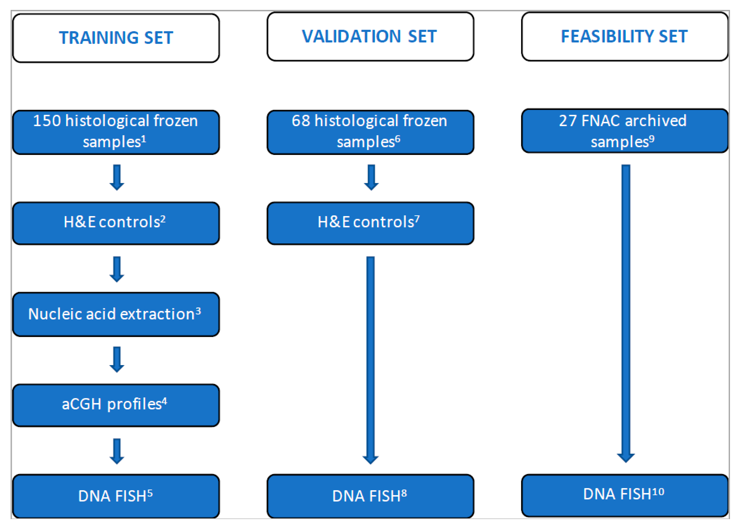 Cancers 12 02529 g001