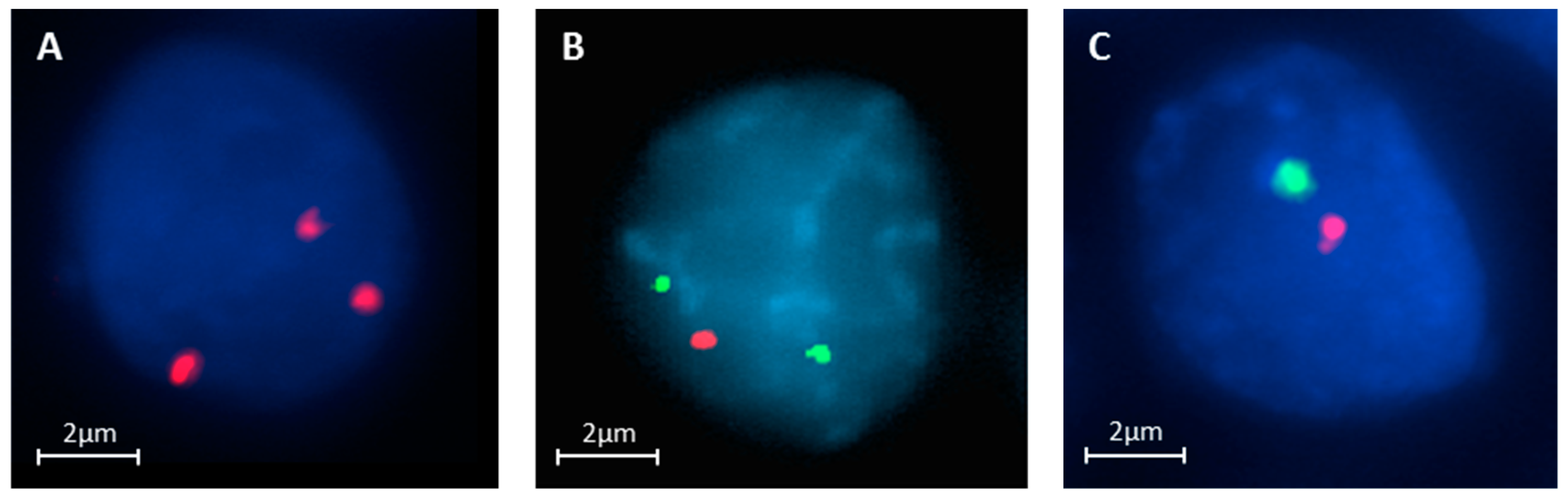 Cancers 12 02529 g005