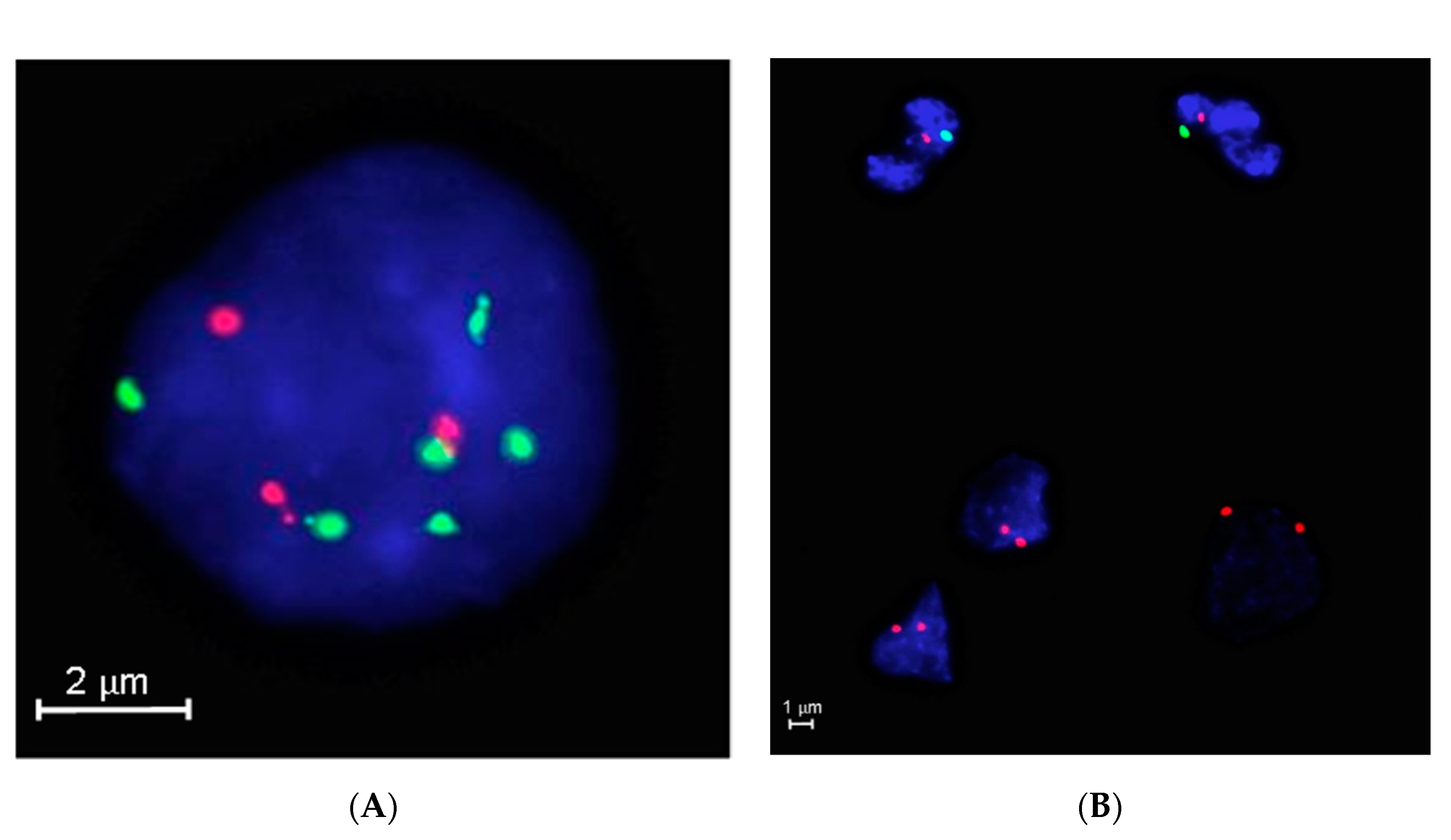 Cancers 12 02529 g006