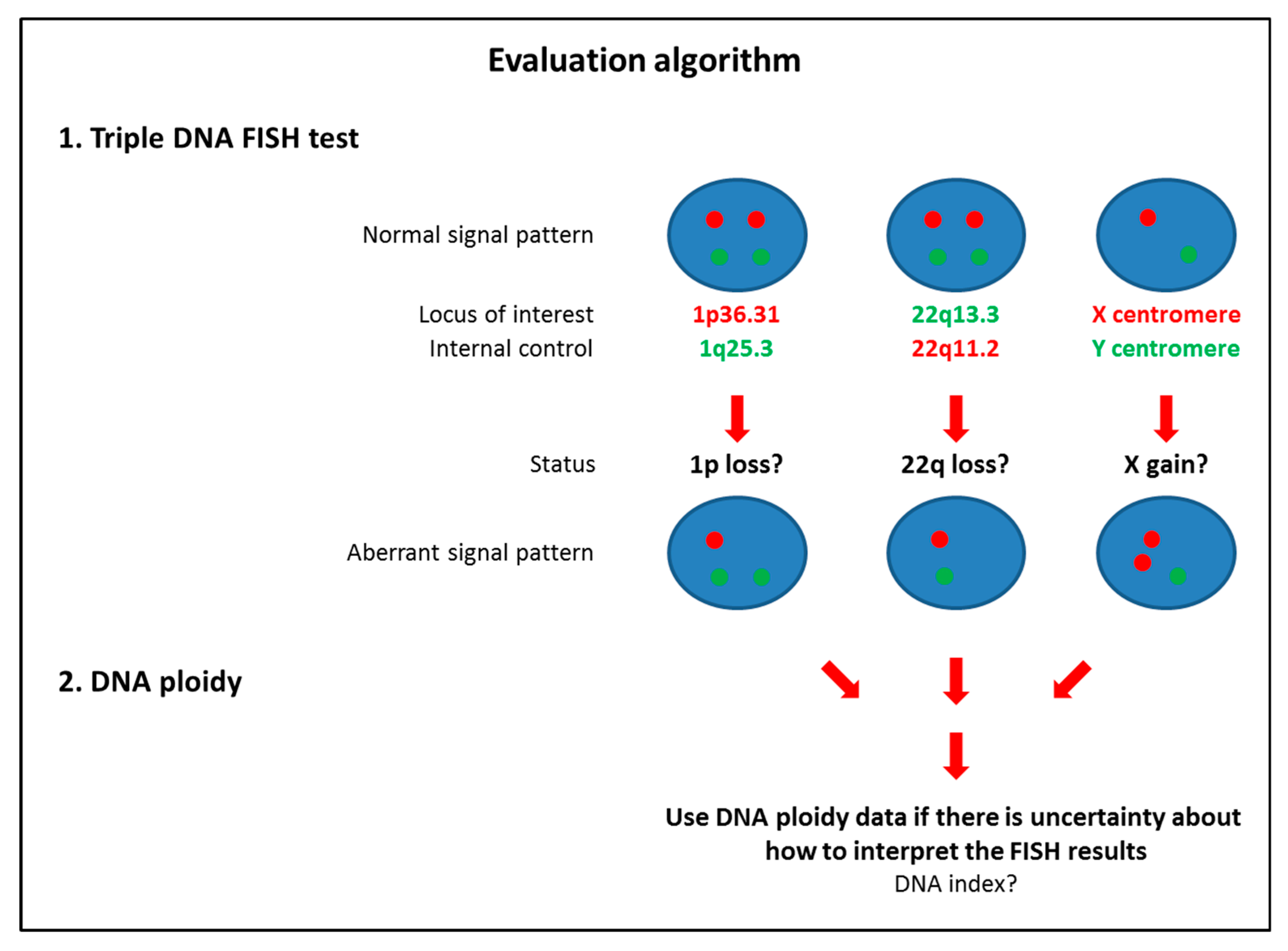 Cancers 12 02529 g007