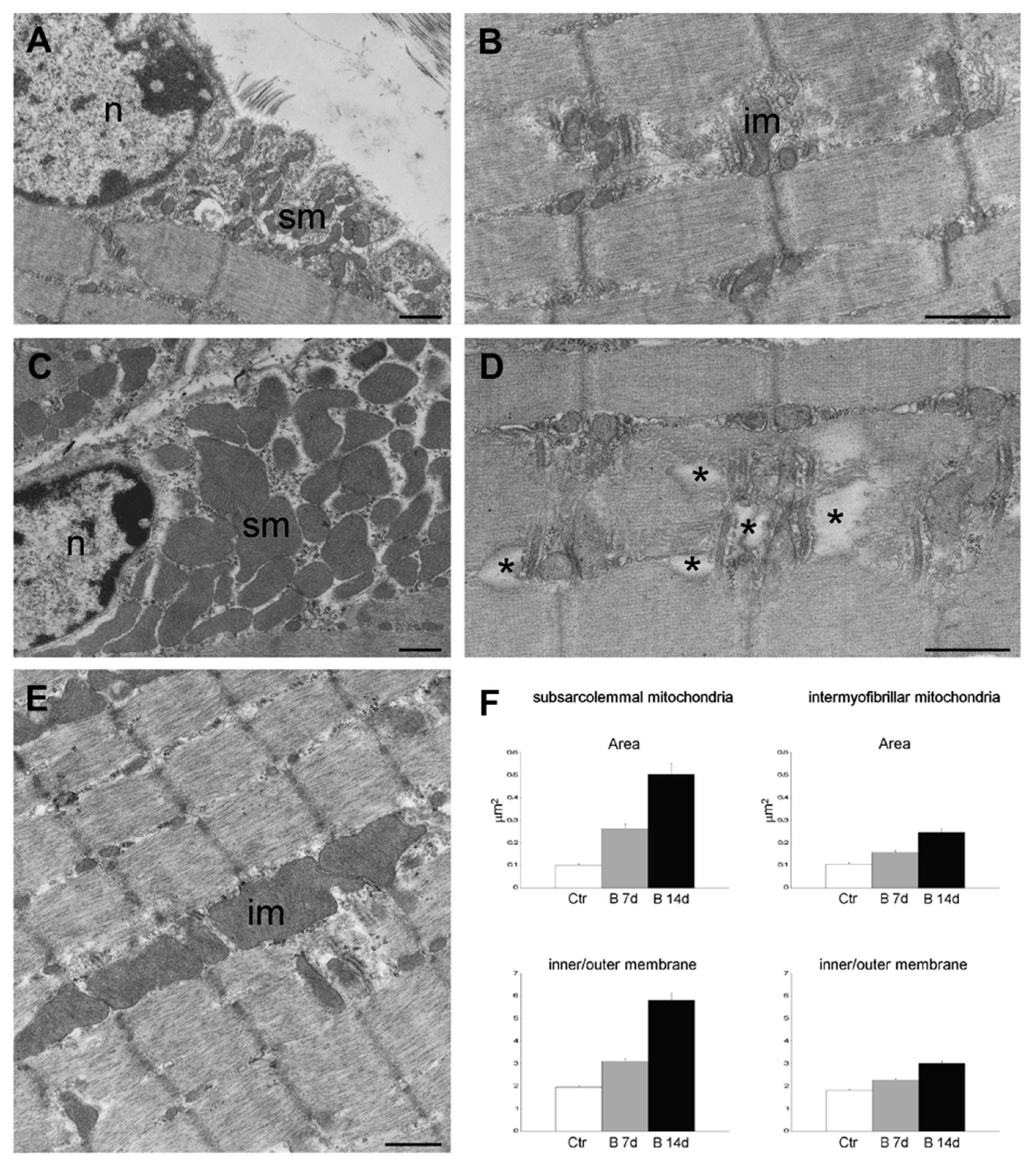 Cancers 12 02540 g005 Cancers 12 02540 g005