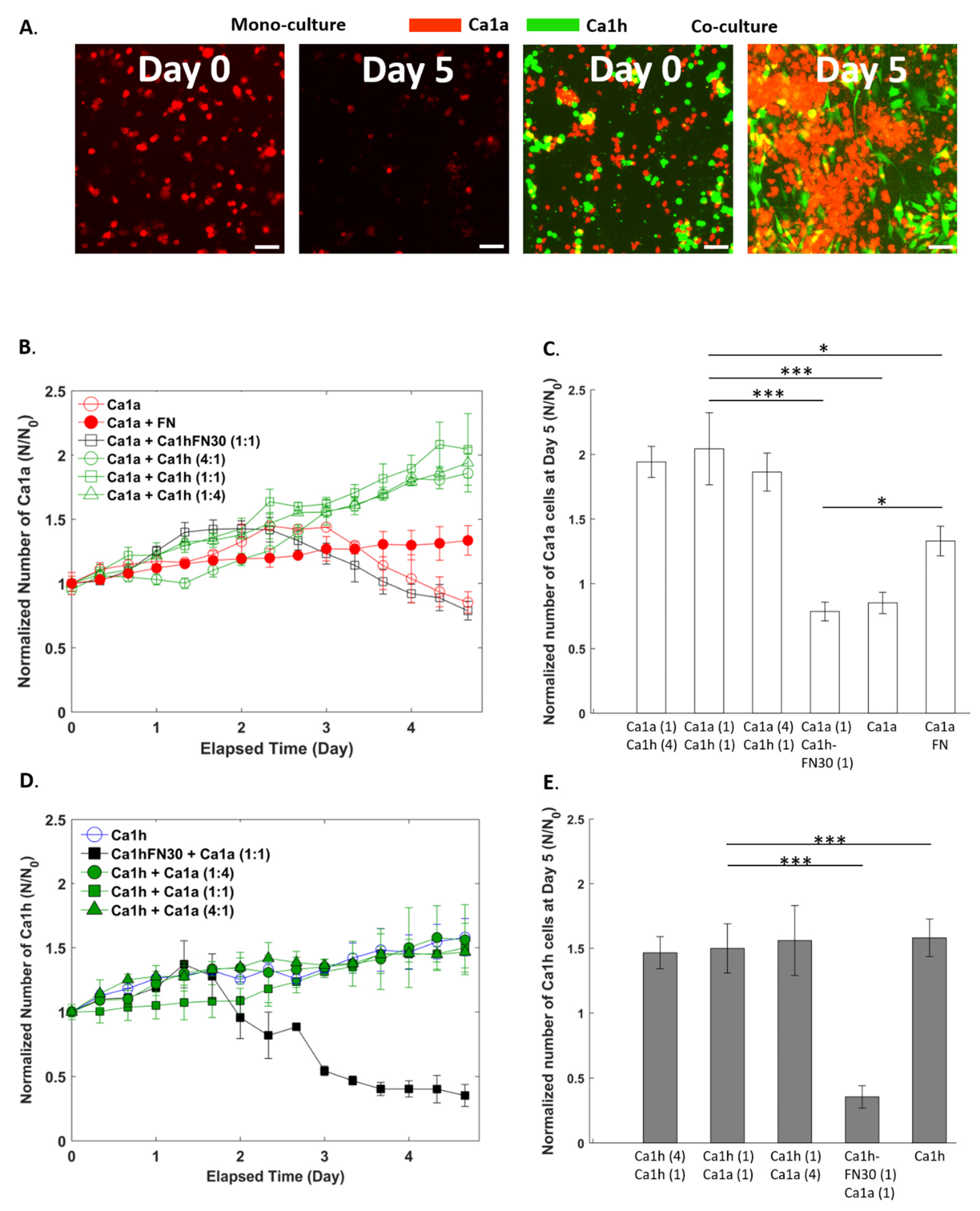 Cancers 12 02553 g001