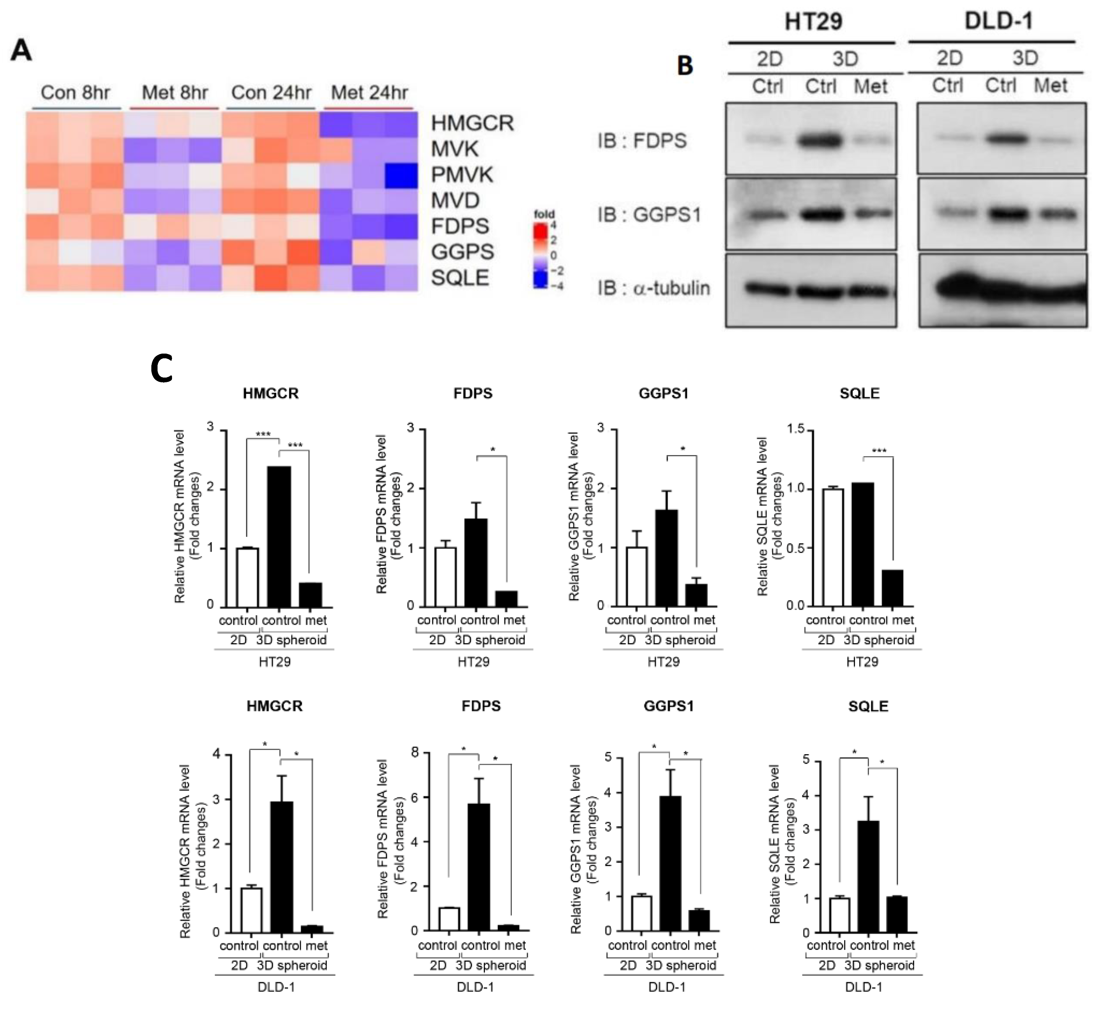Cancers 12 02554 g002a