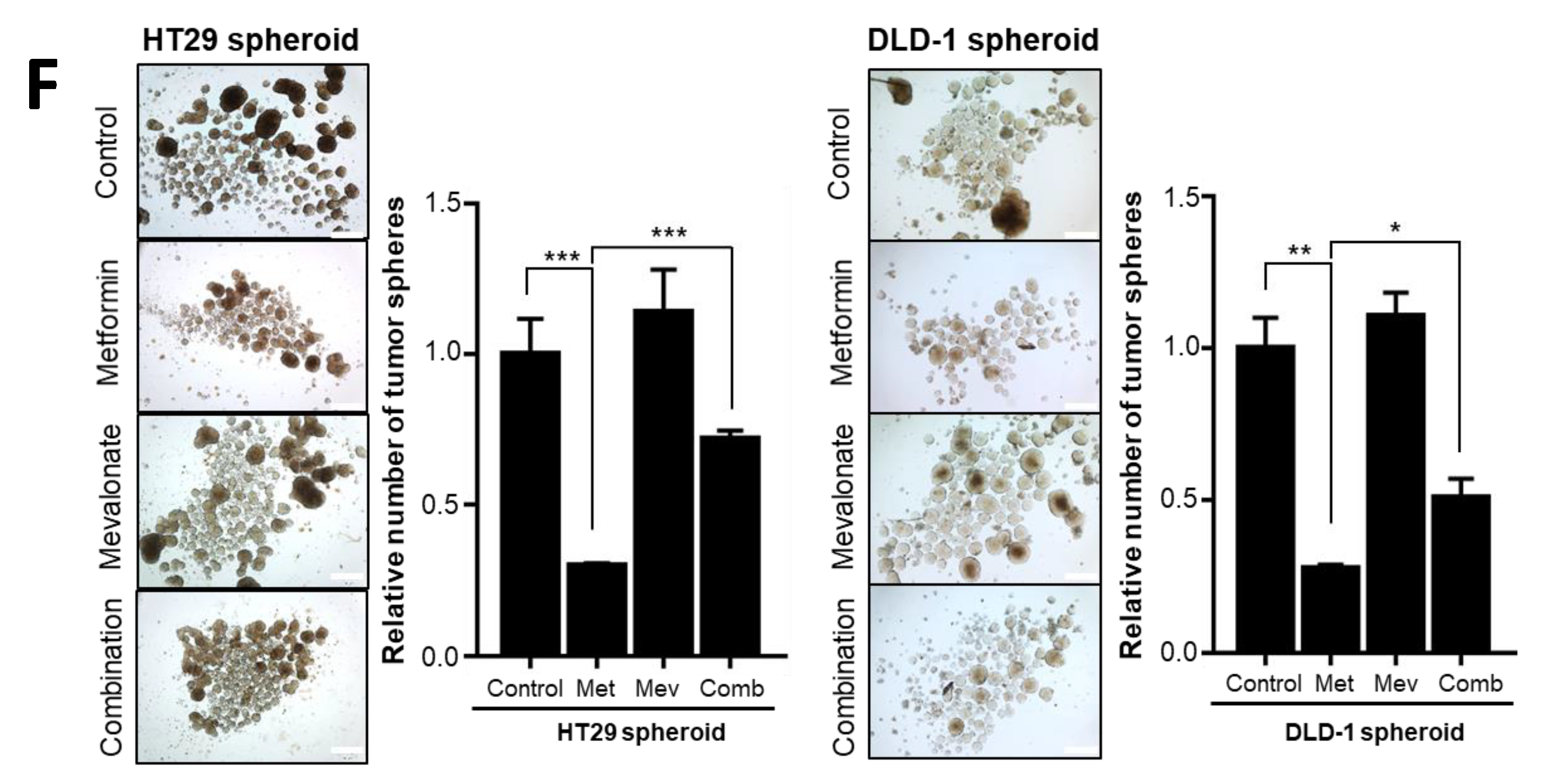 Cancers 12 02554 g002c