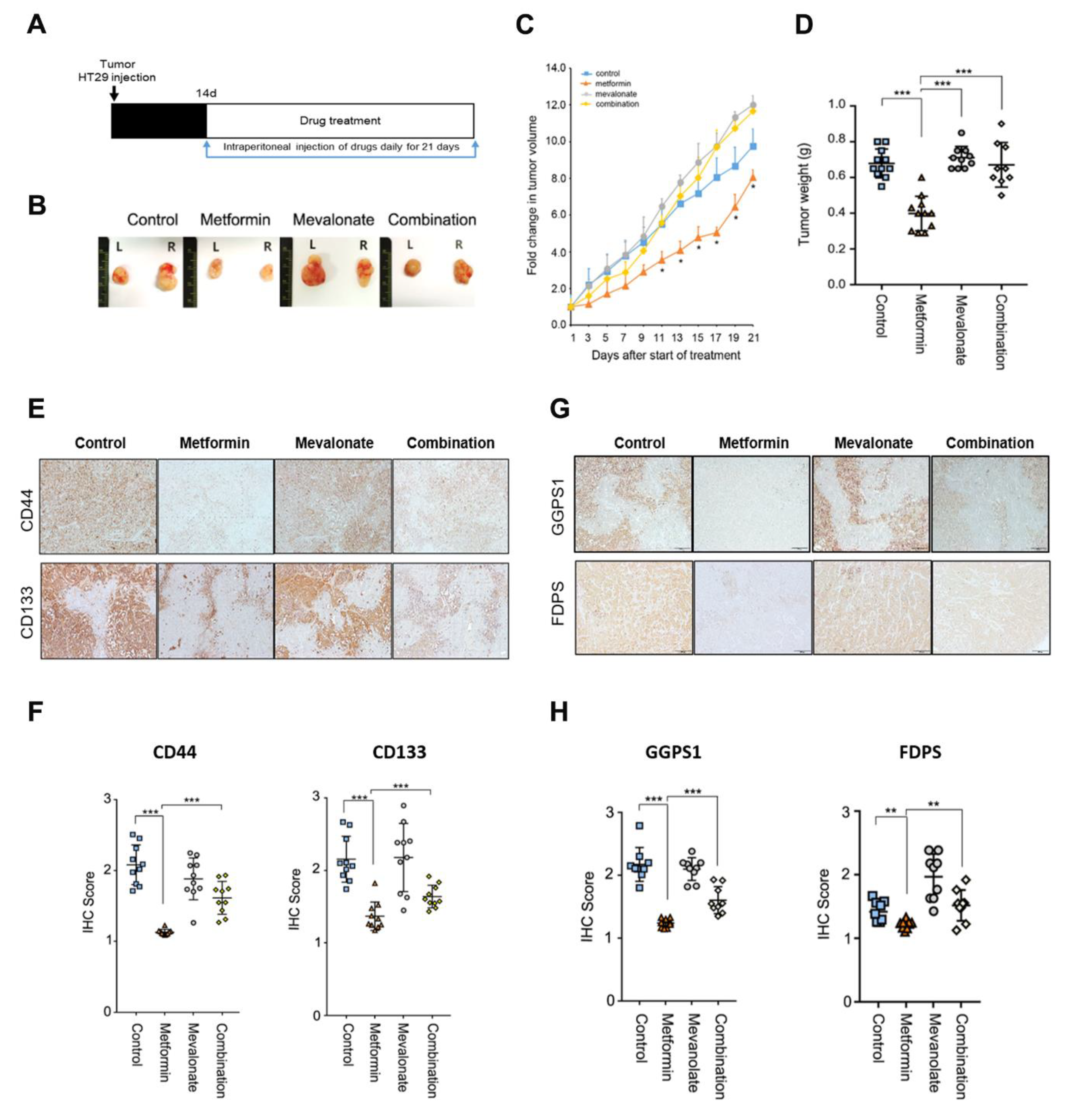 Cancers 12 02554 g004