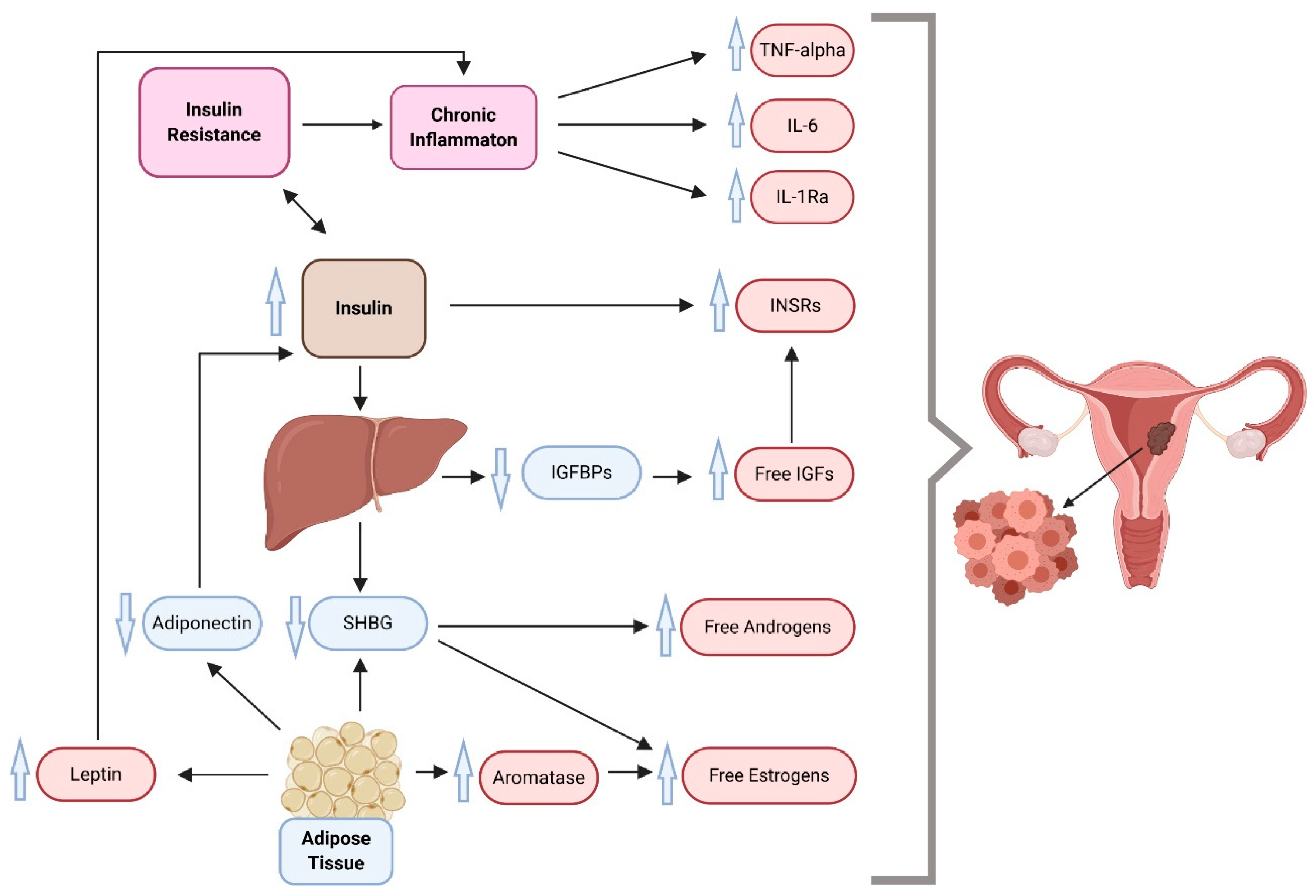 Cancers 12 02559 g001