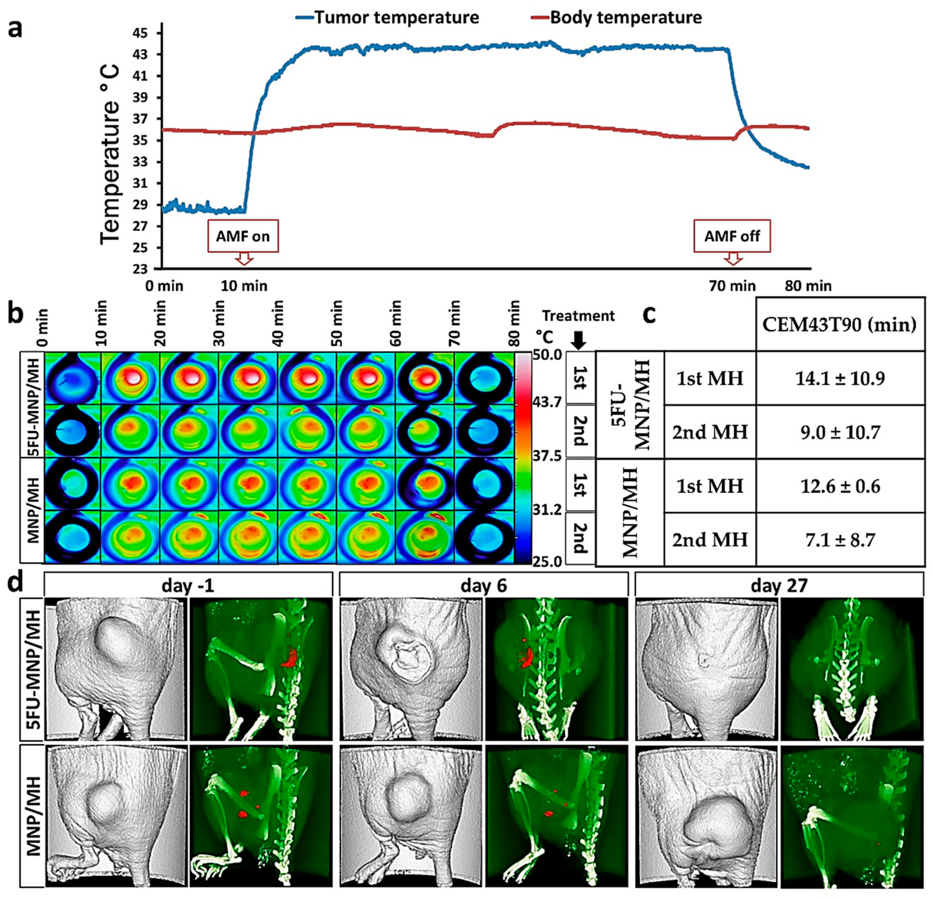 Cancers 12 02562 g001