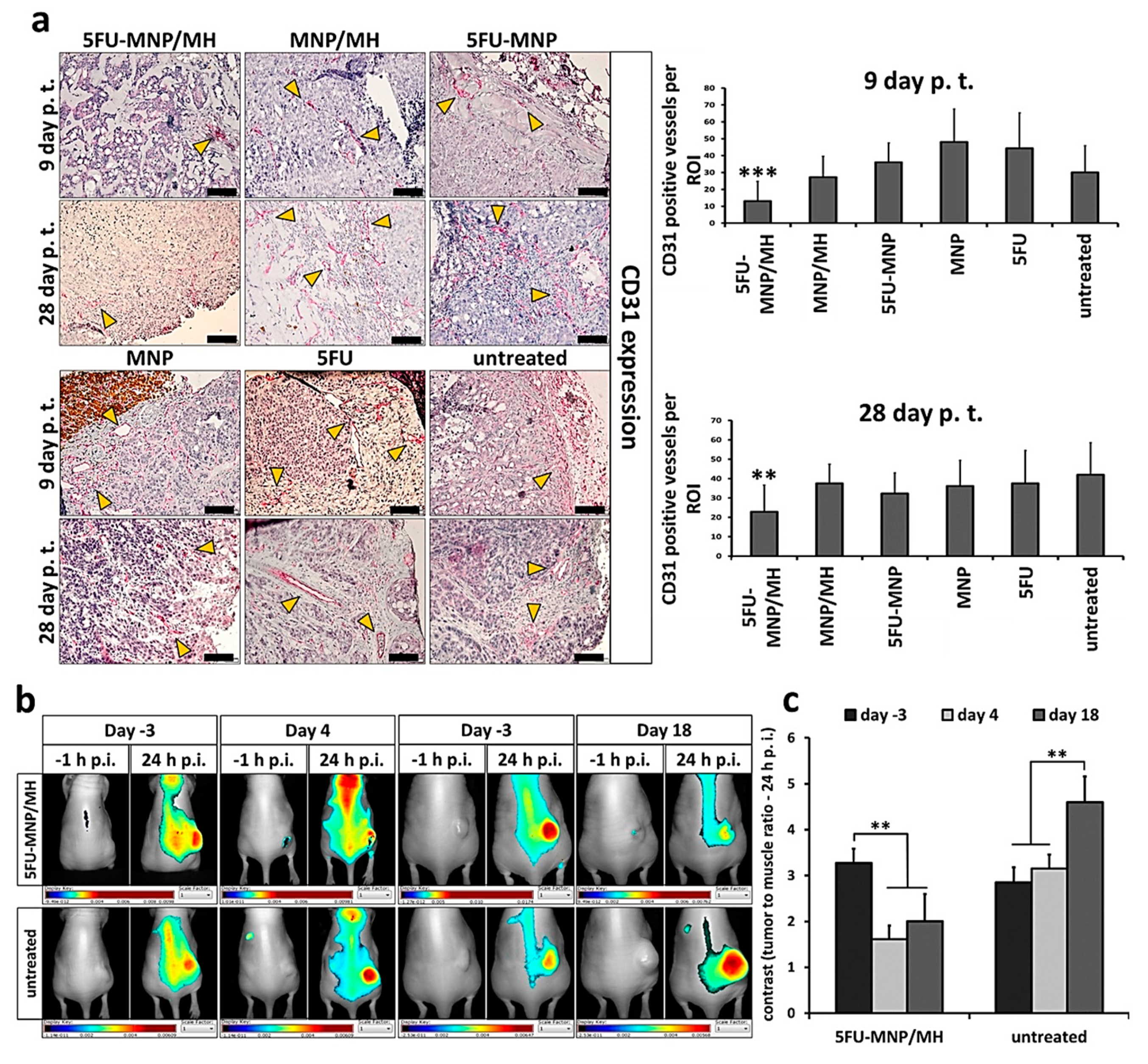 Cancers 12 02562 g005