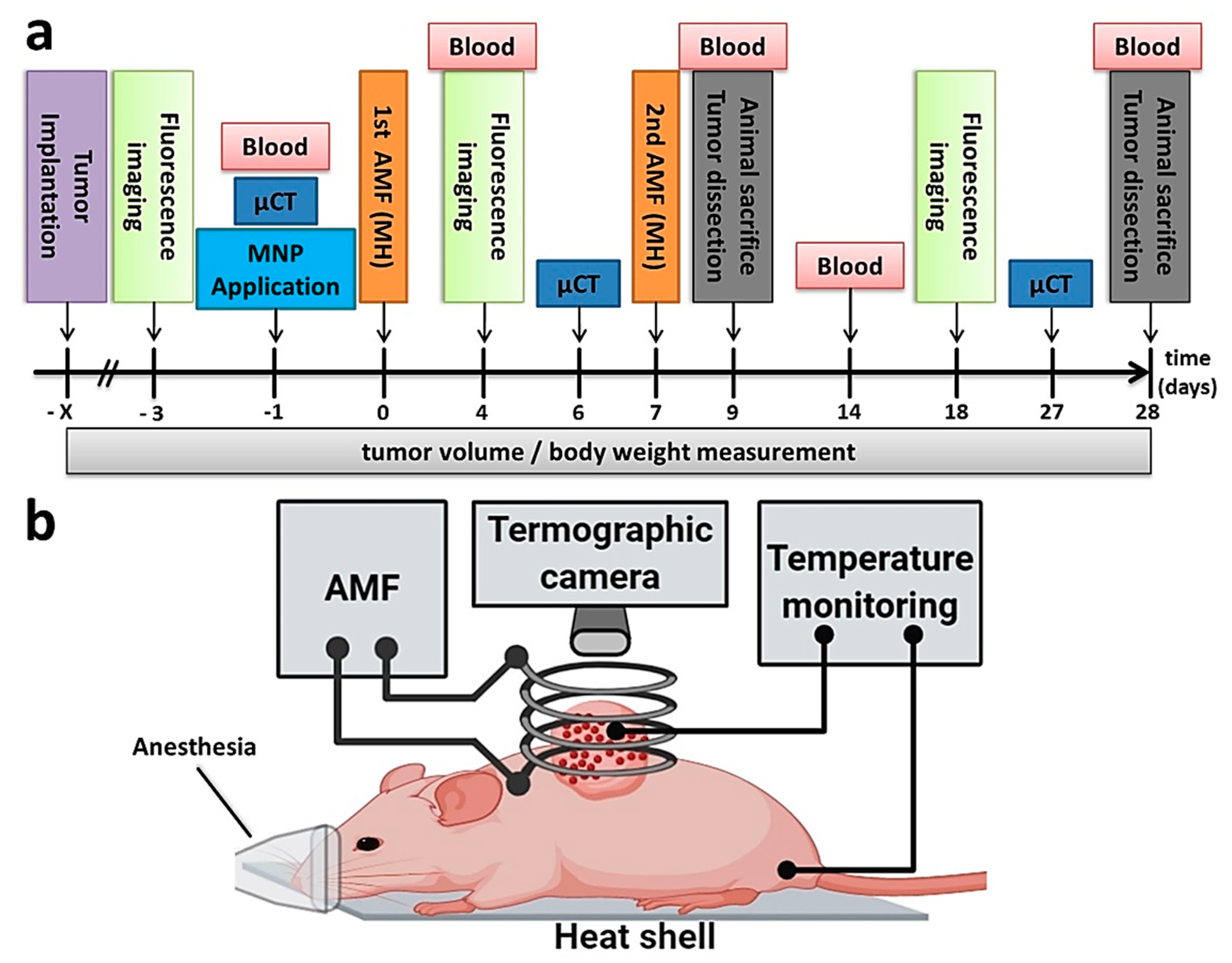 Cancers 12 02562 g006