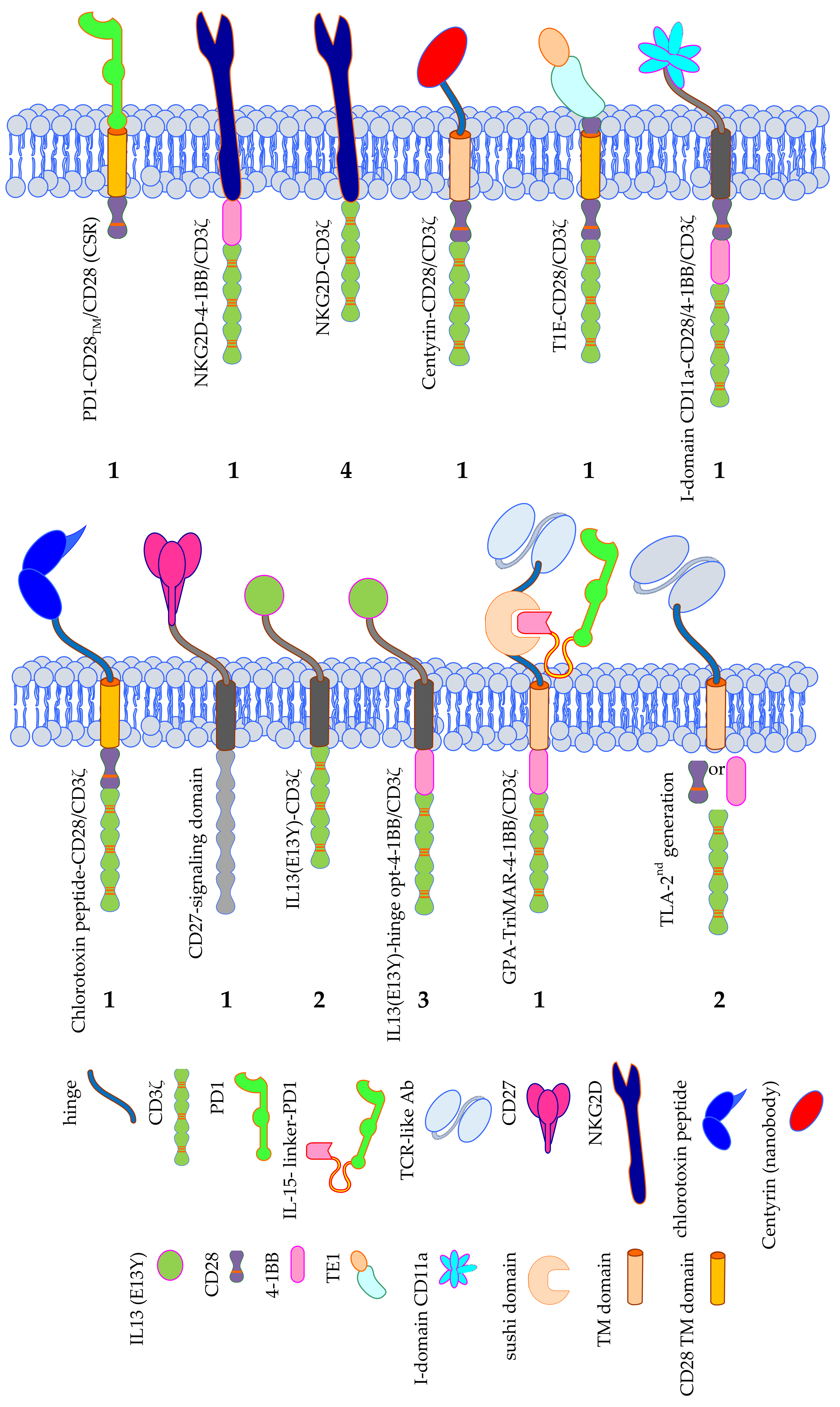 Cancers 12 02567 g006 Cancers 12 02567 g006