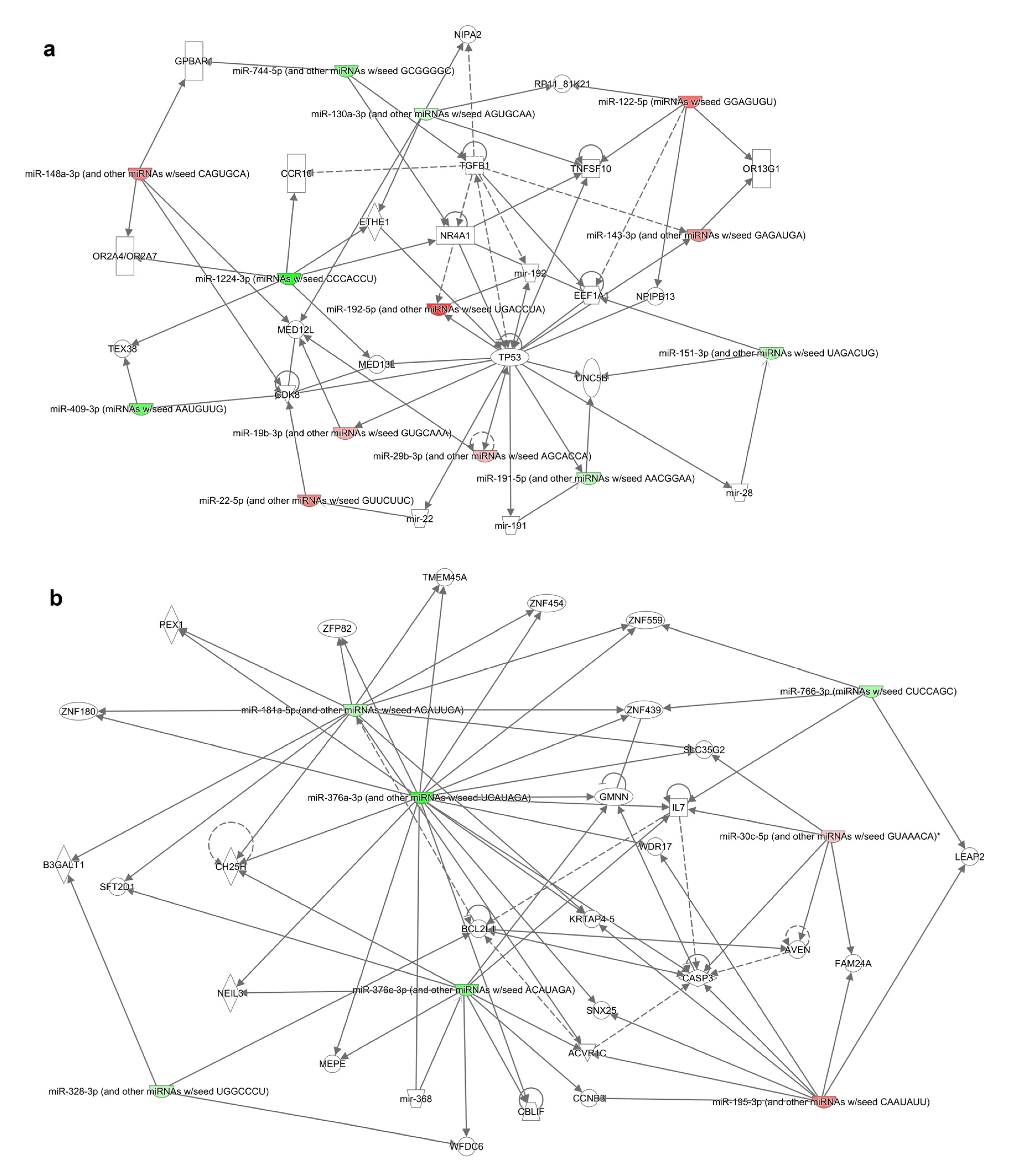 Cancers 12 02569 g003