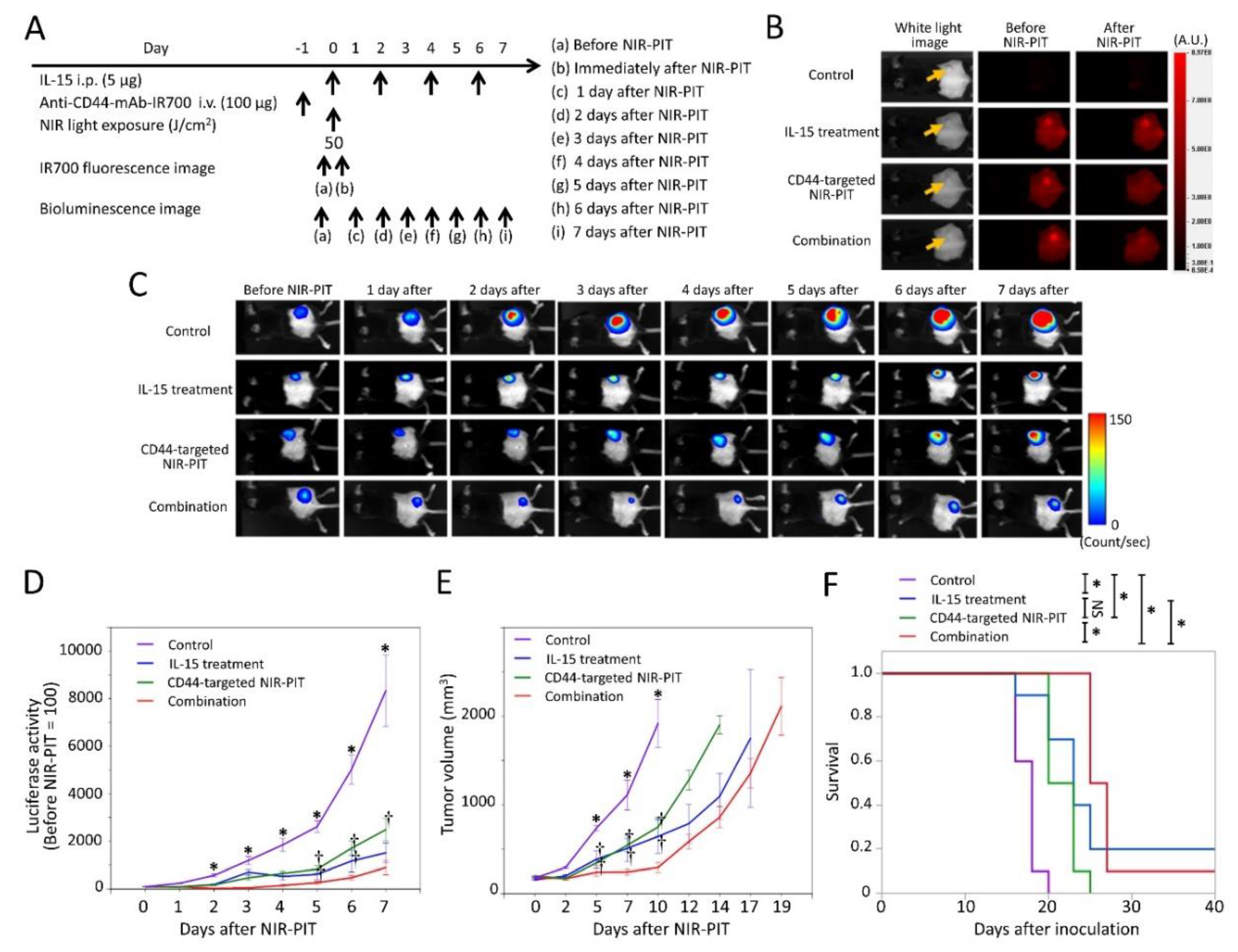 Cancers 12 02575 g001