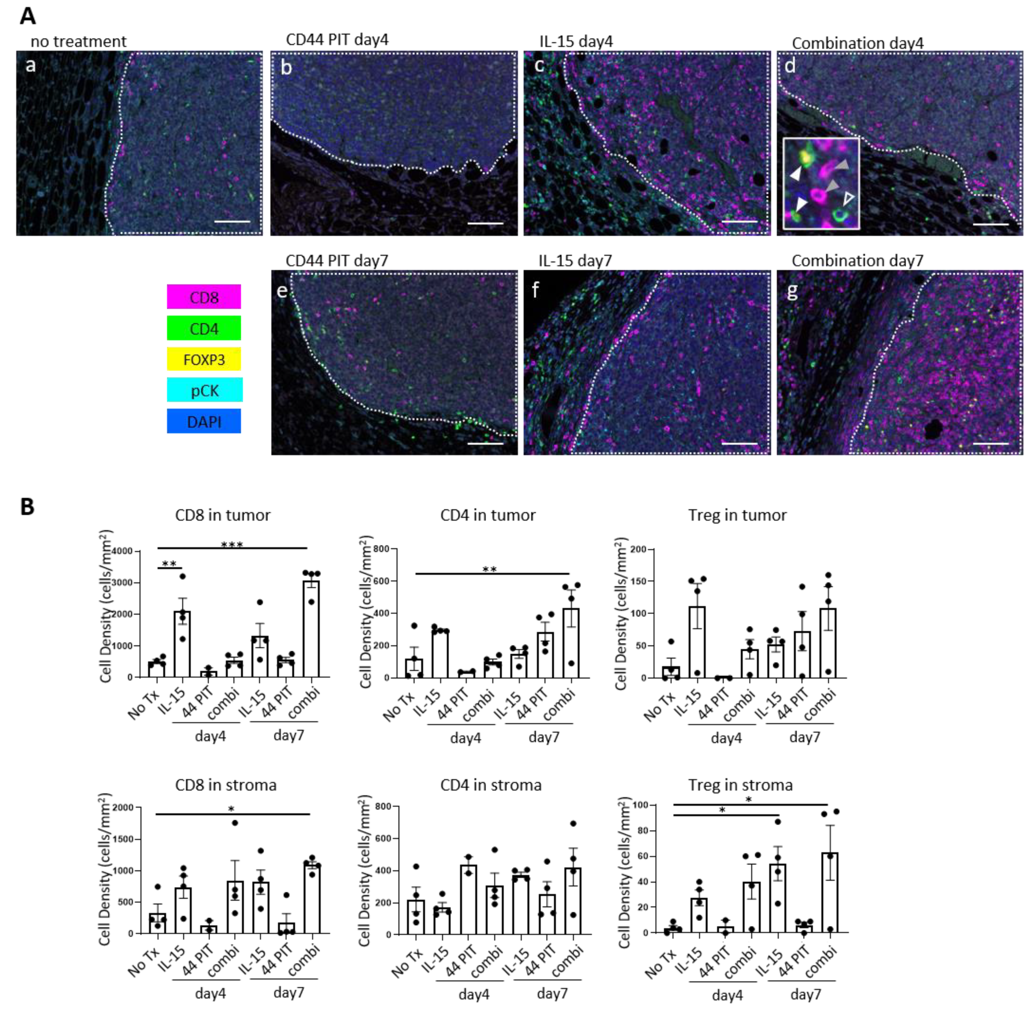Cancers 12 02575 g002