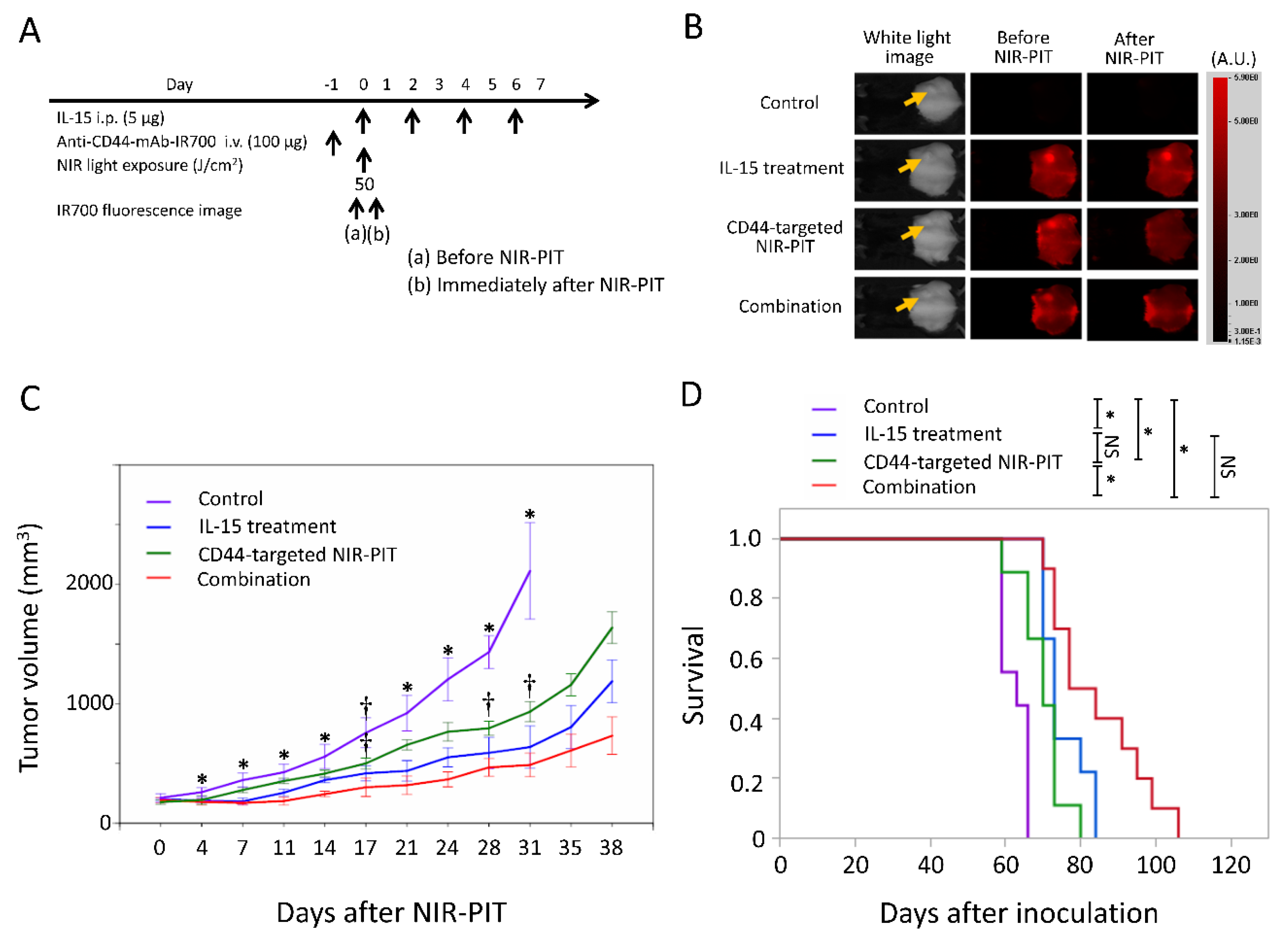 Cancers 12 02575 g004