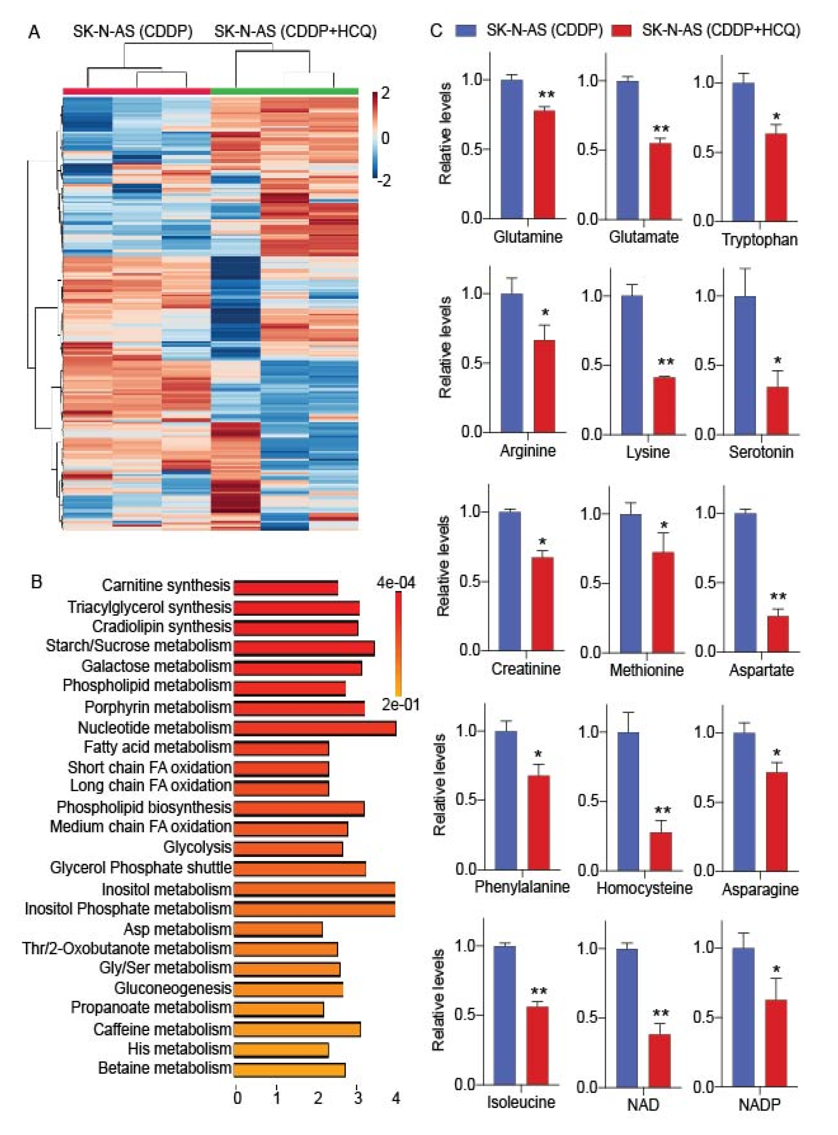 Cancers 12 02576 g005