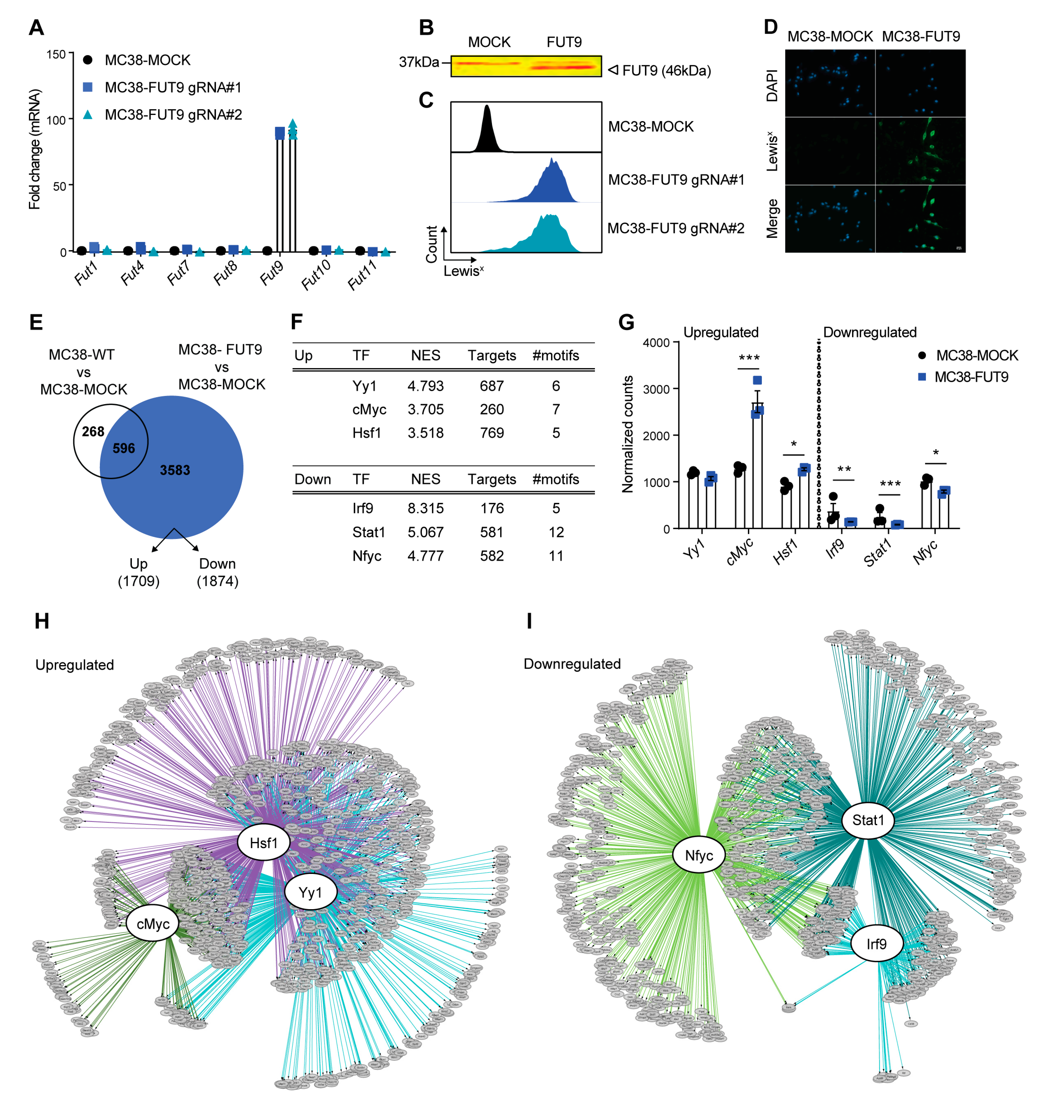 Cancers 12 02580 g001 Cancers 12 02580 g001