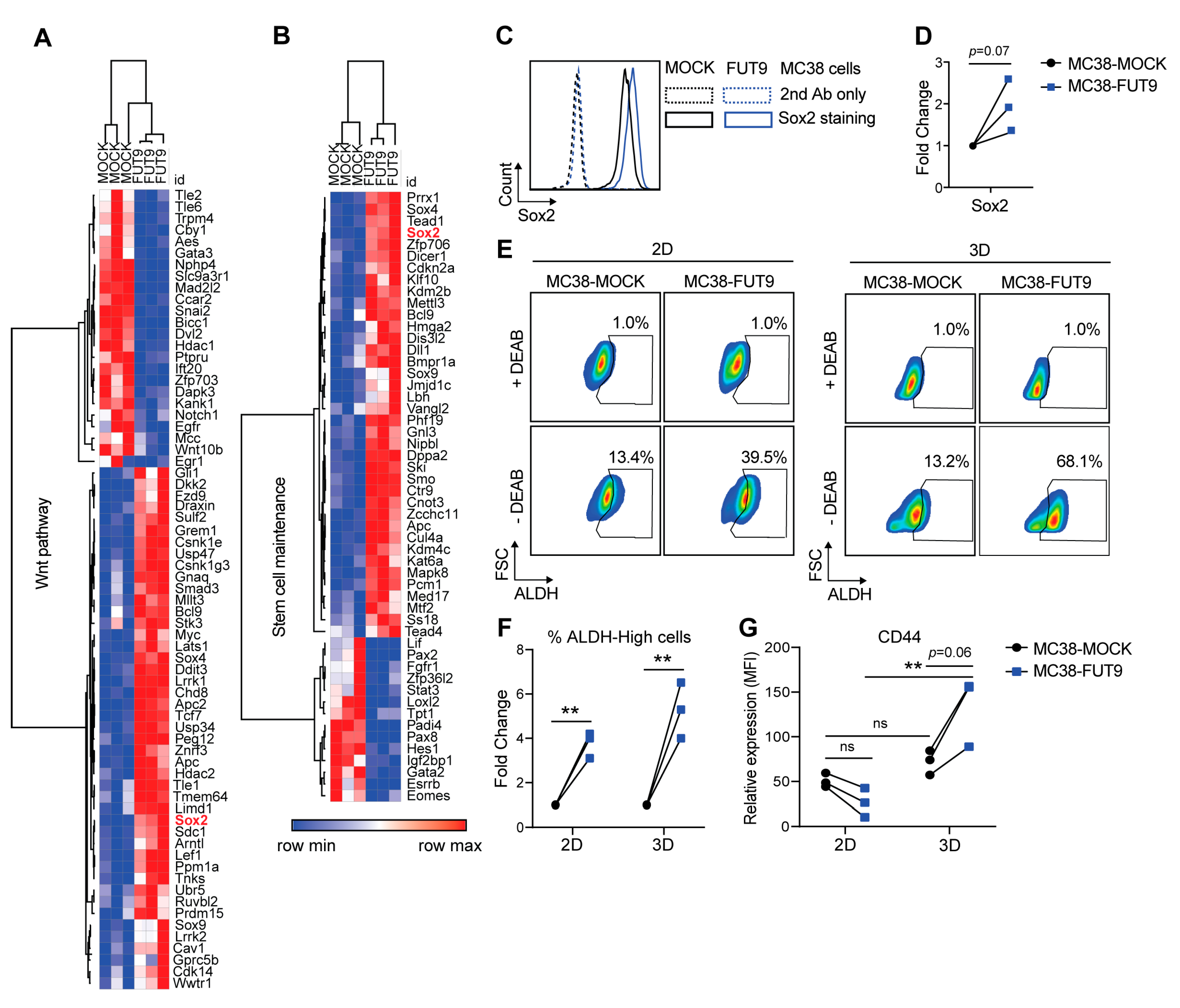 Cancers 12 02580 g002 Cancers 12 02580 g002