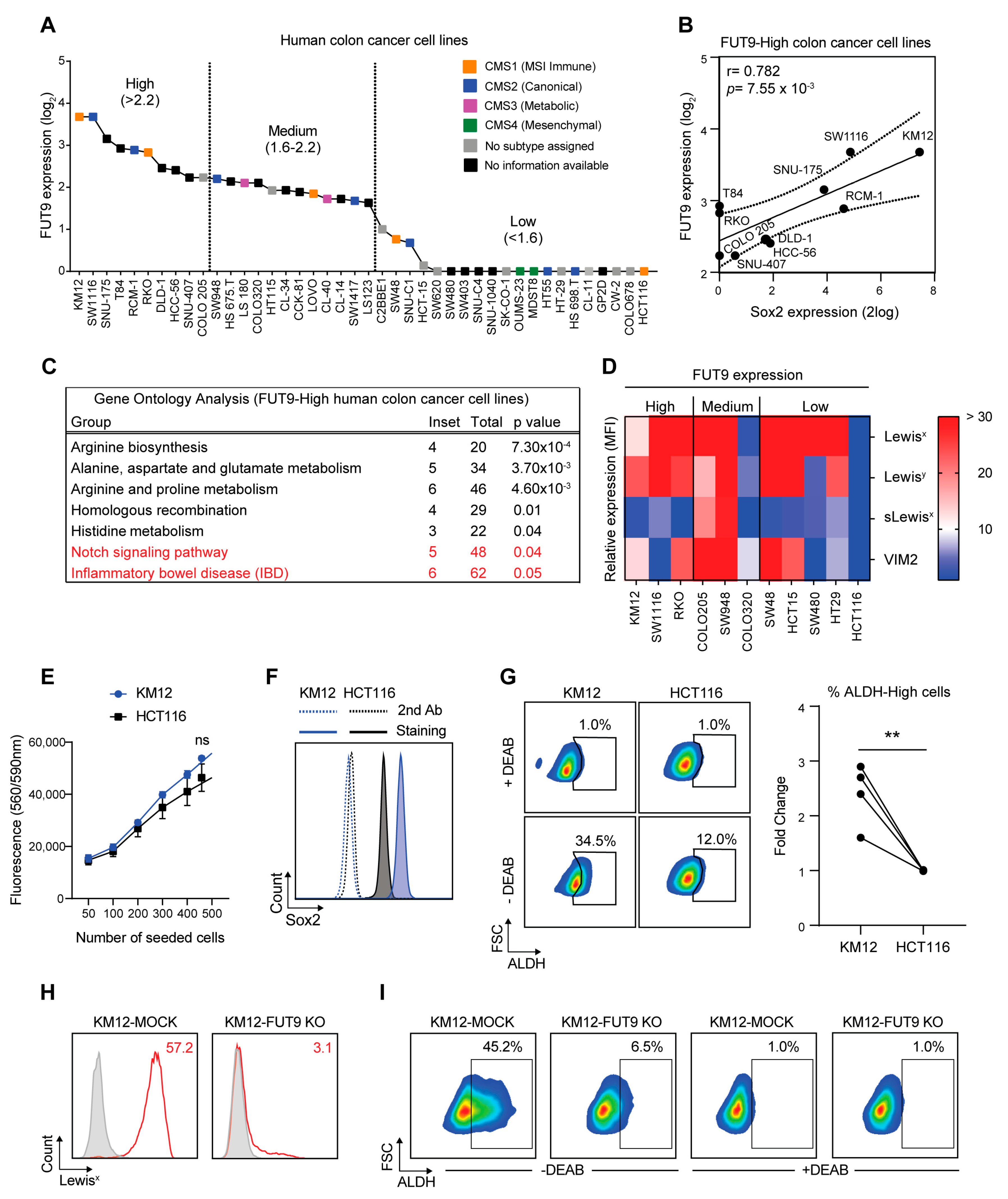 Cancers 12 02580 g004 Cancers 12 02580 g004
