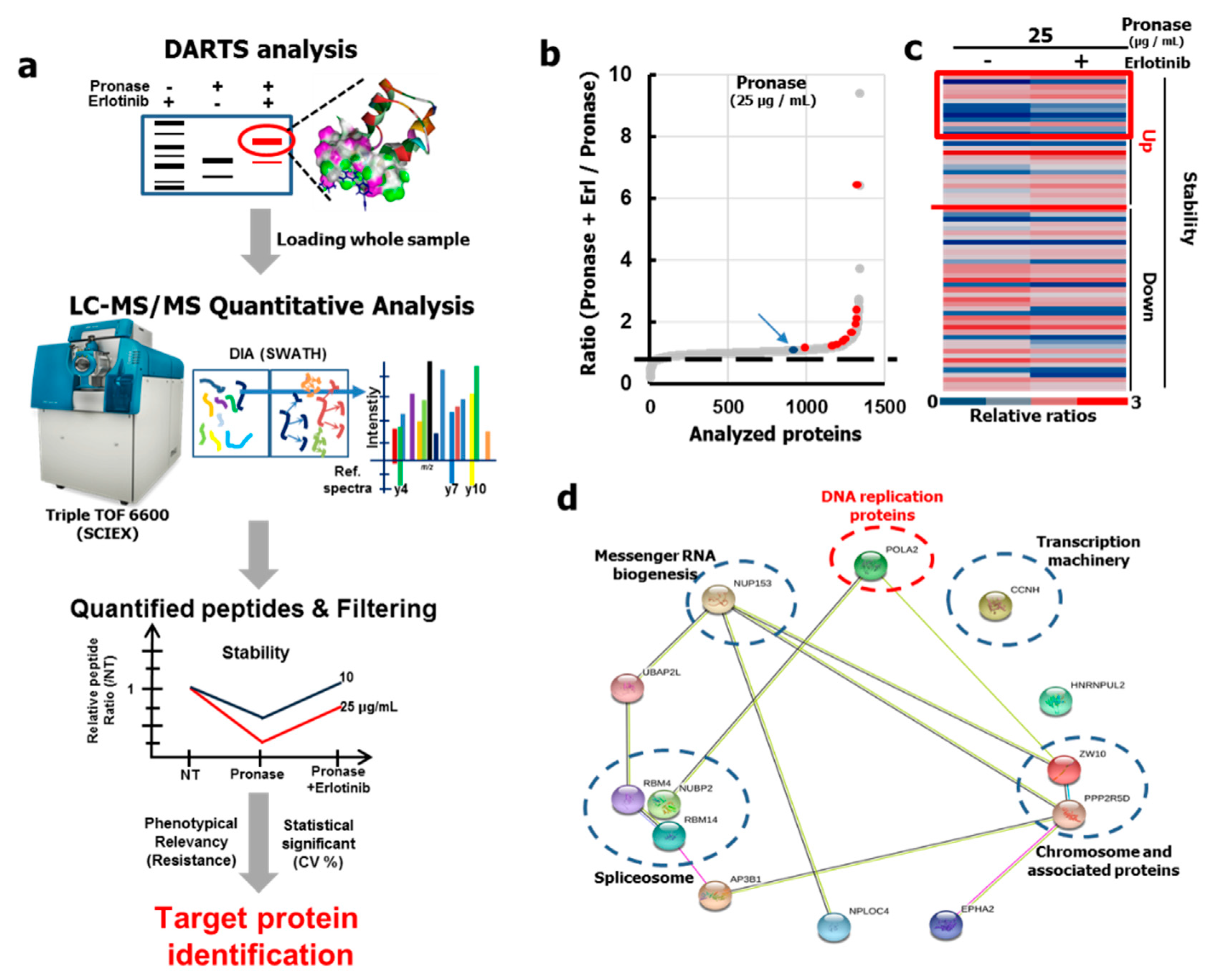 Cancers 12 02613 g002