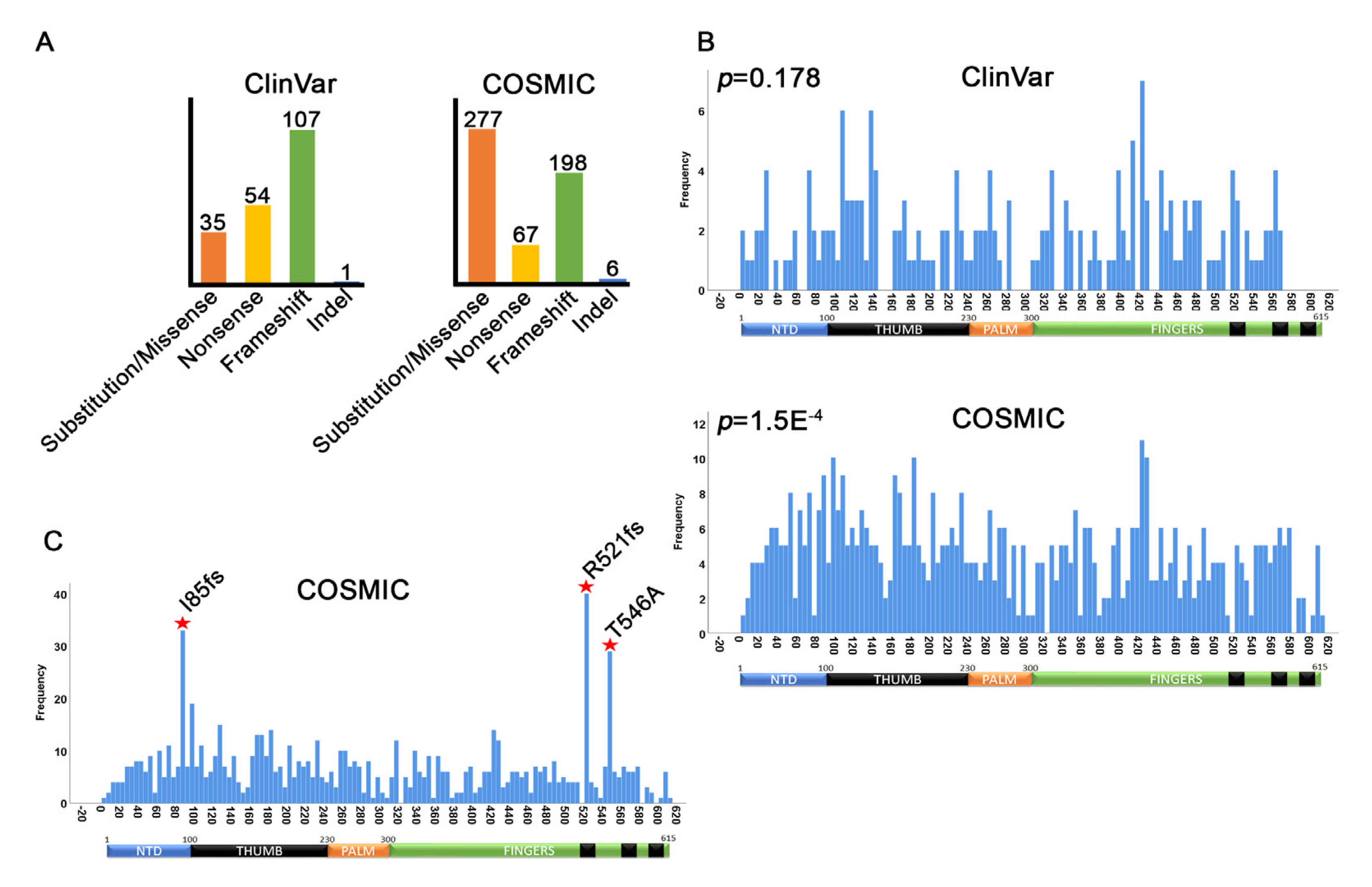 Cancers 12 02616 g003