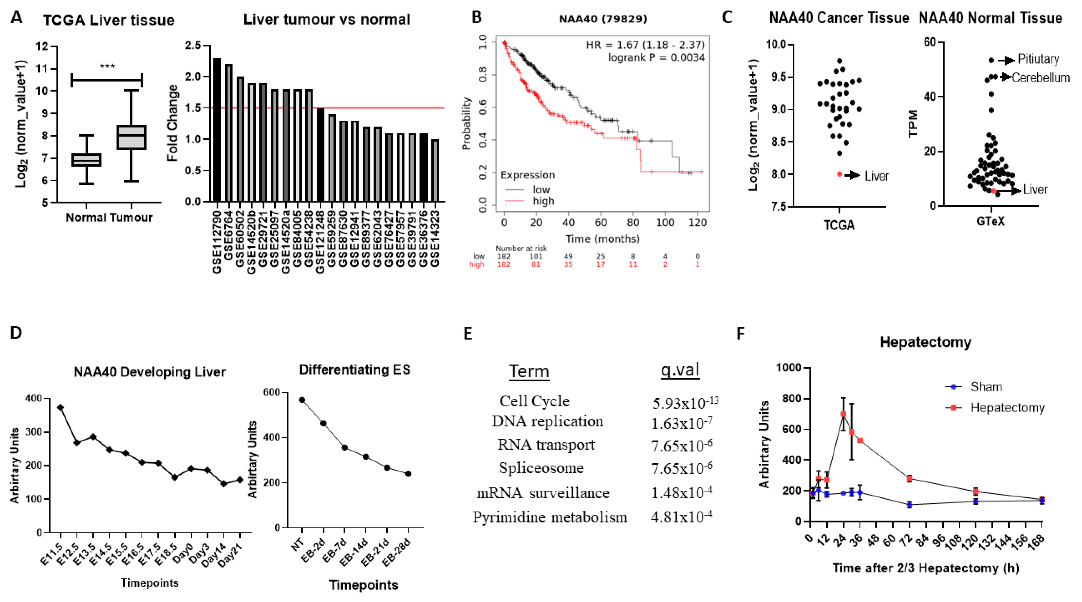 Cancers 12 02631 g005