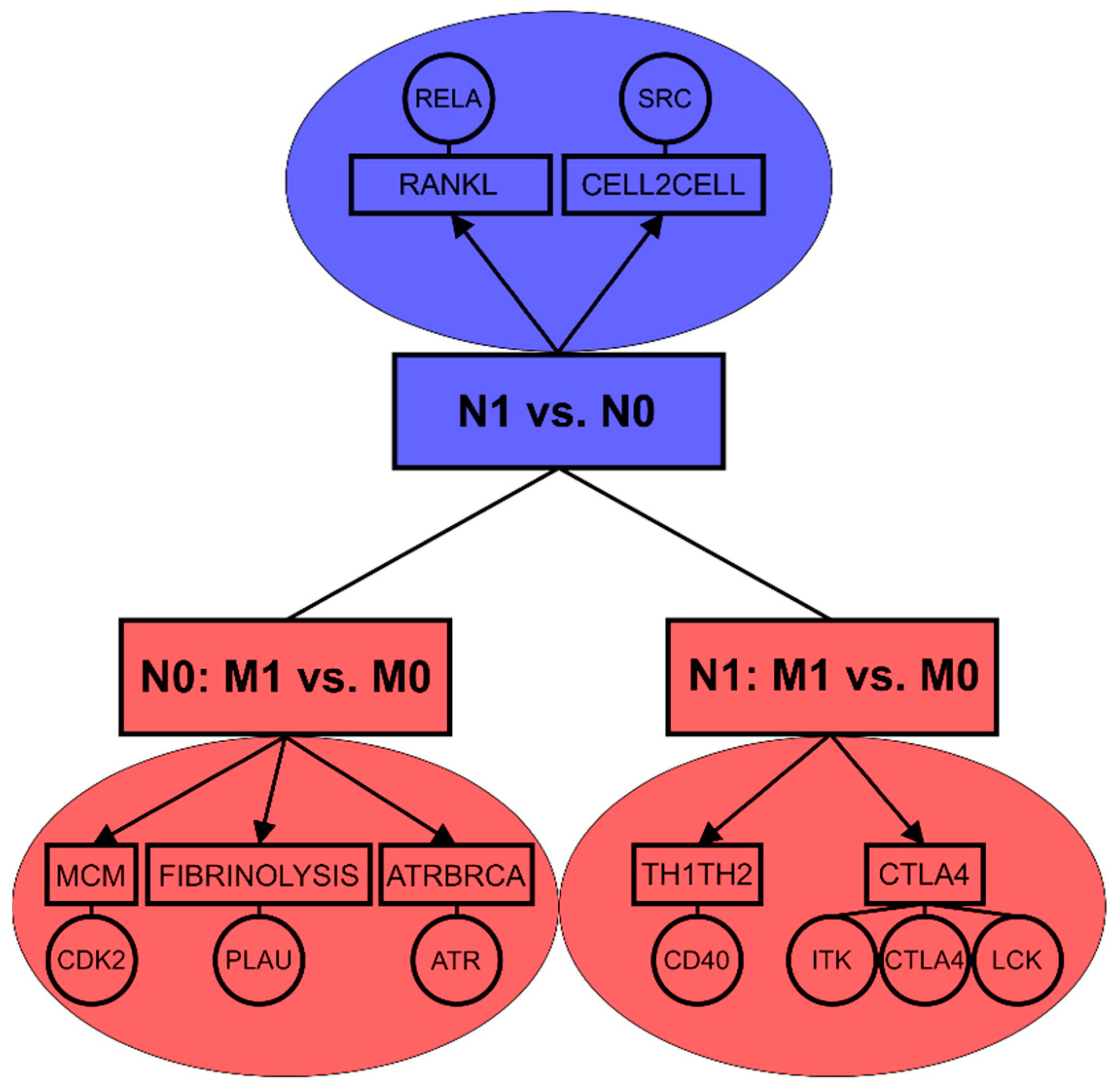 Cancers 12 02638 g002 Cancers 12 02638 g002