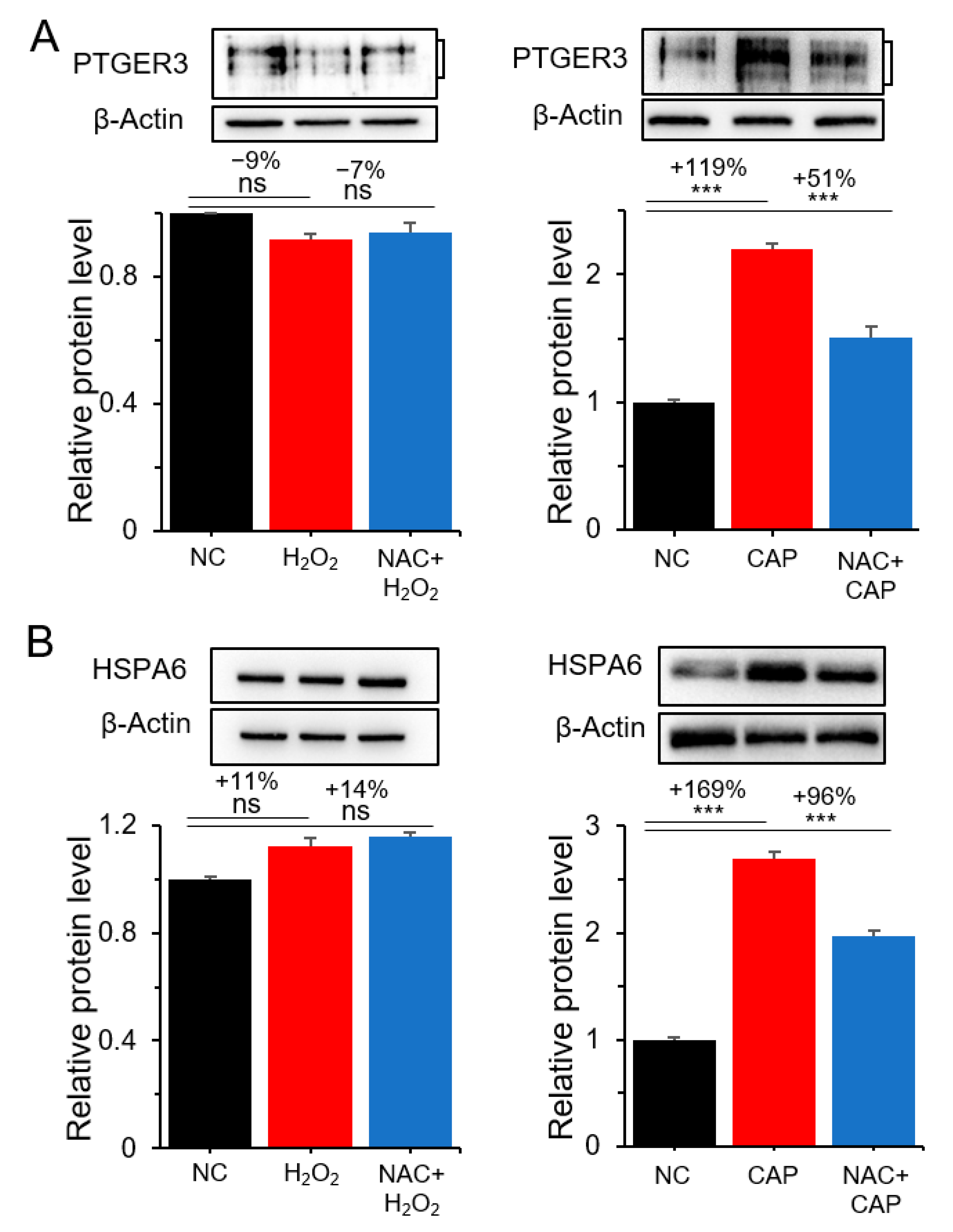 Cancers 12 02640 g005