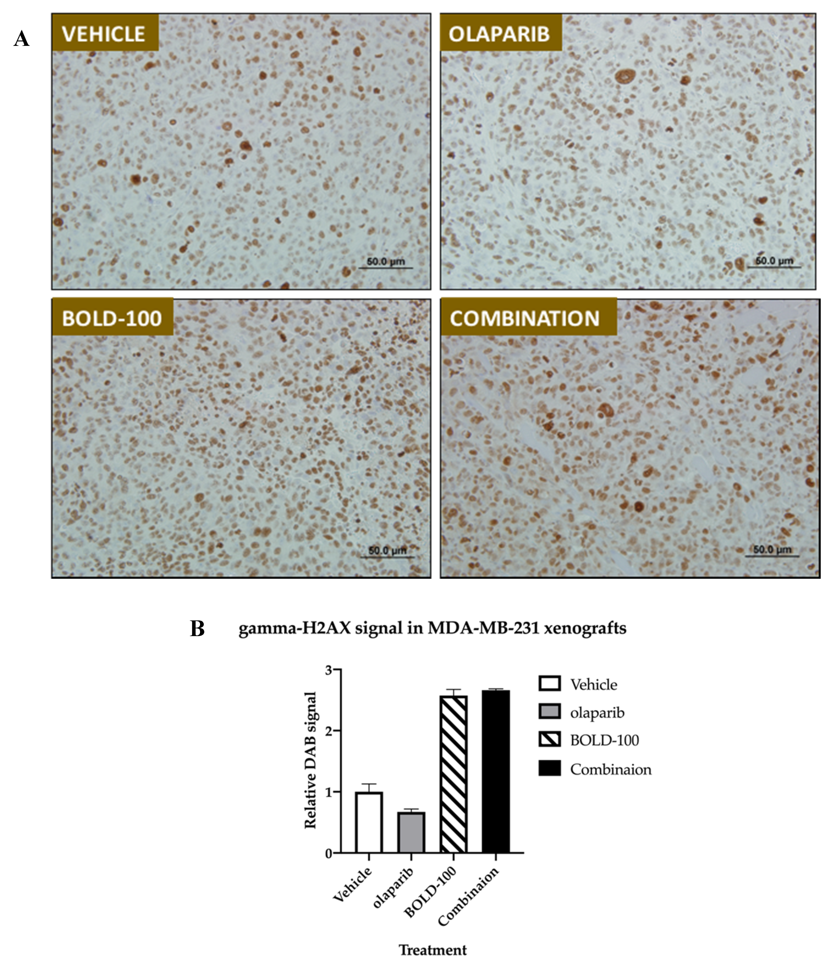 Cancers 12 02647 g008
