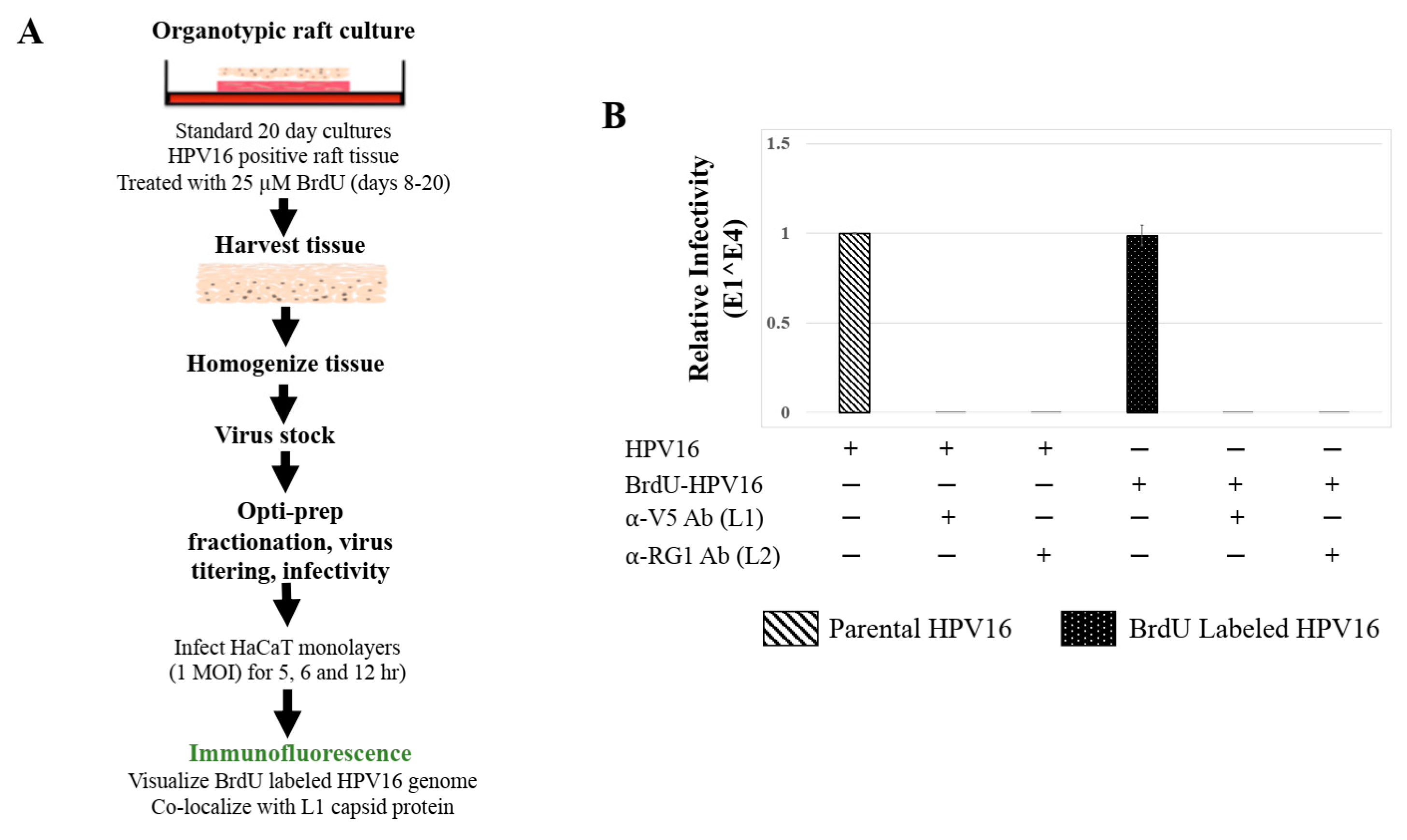 Cancers 12 02664 g008