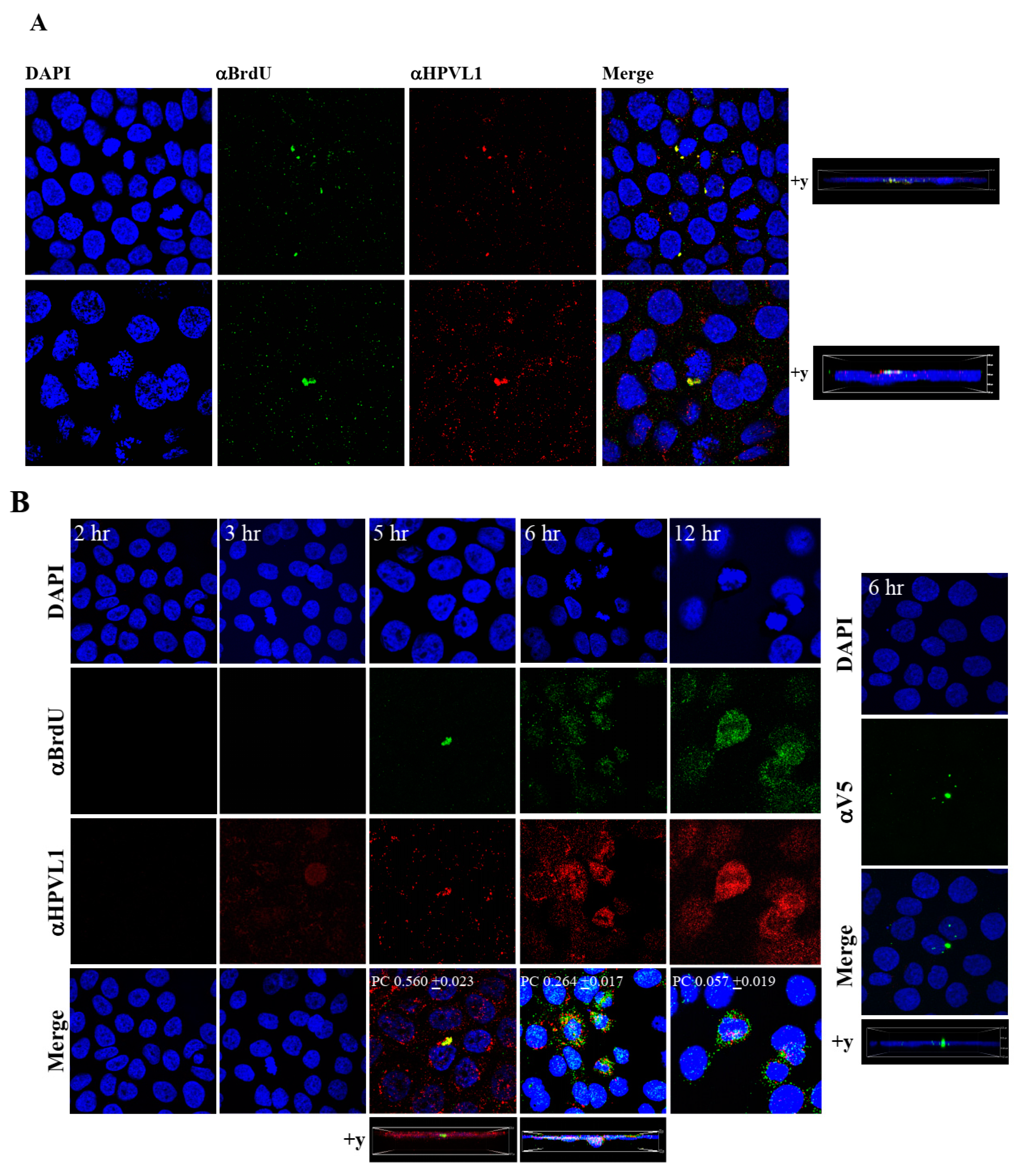Cancers 12 02664 g009