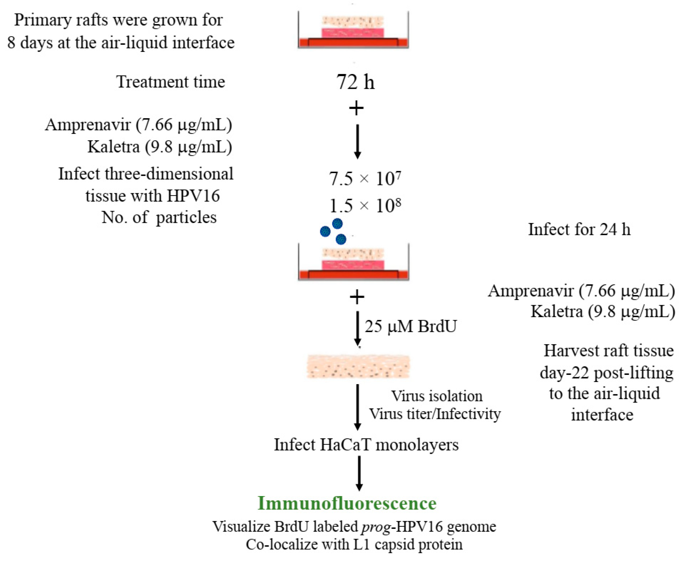 Cancers 12 02664 g010