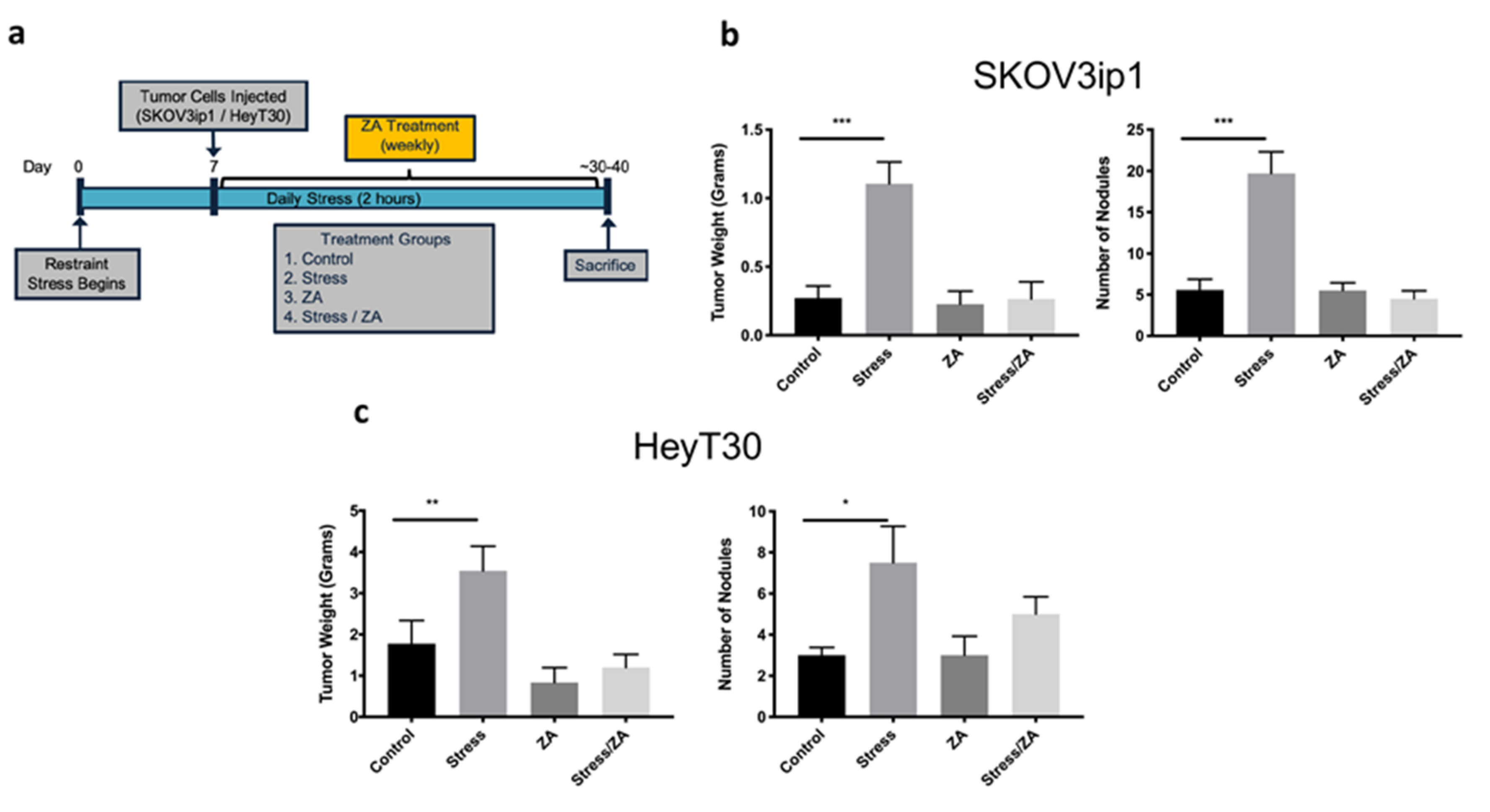 Cancers 12 02671 g005