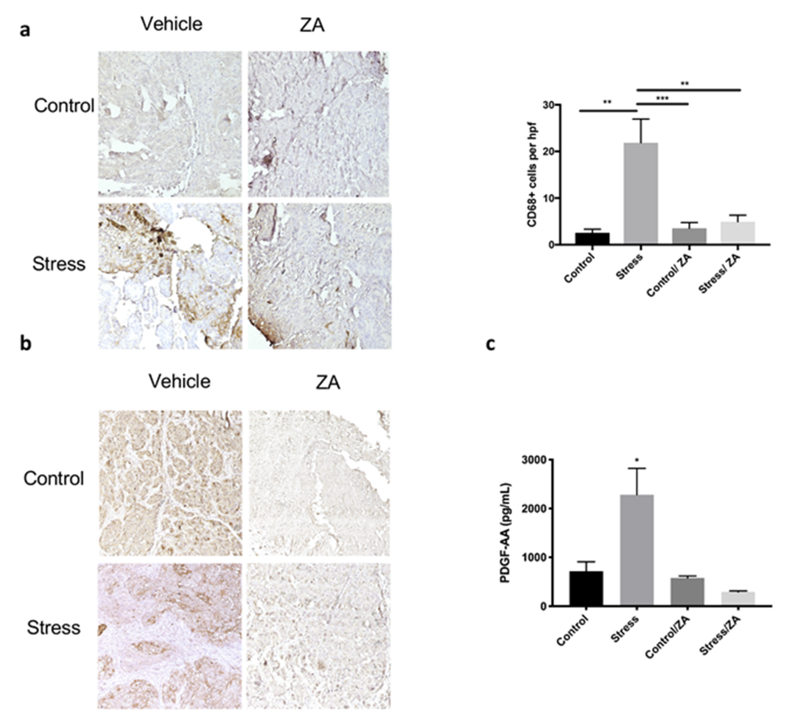 Cancers 12 02671 g006