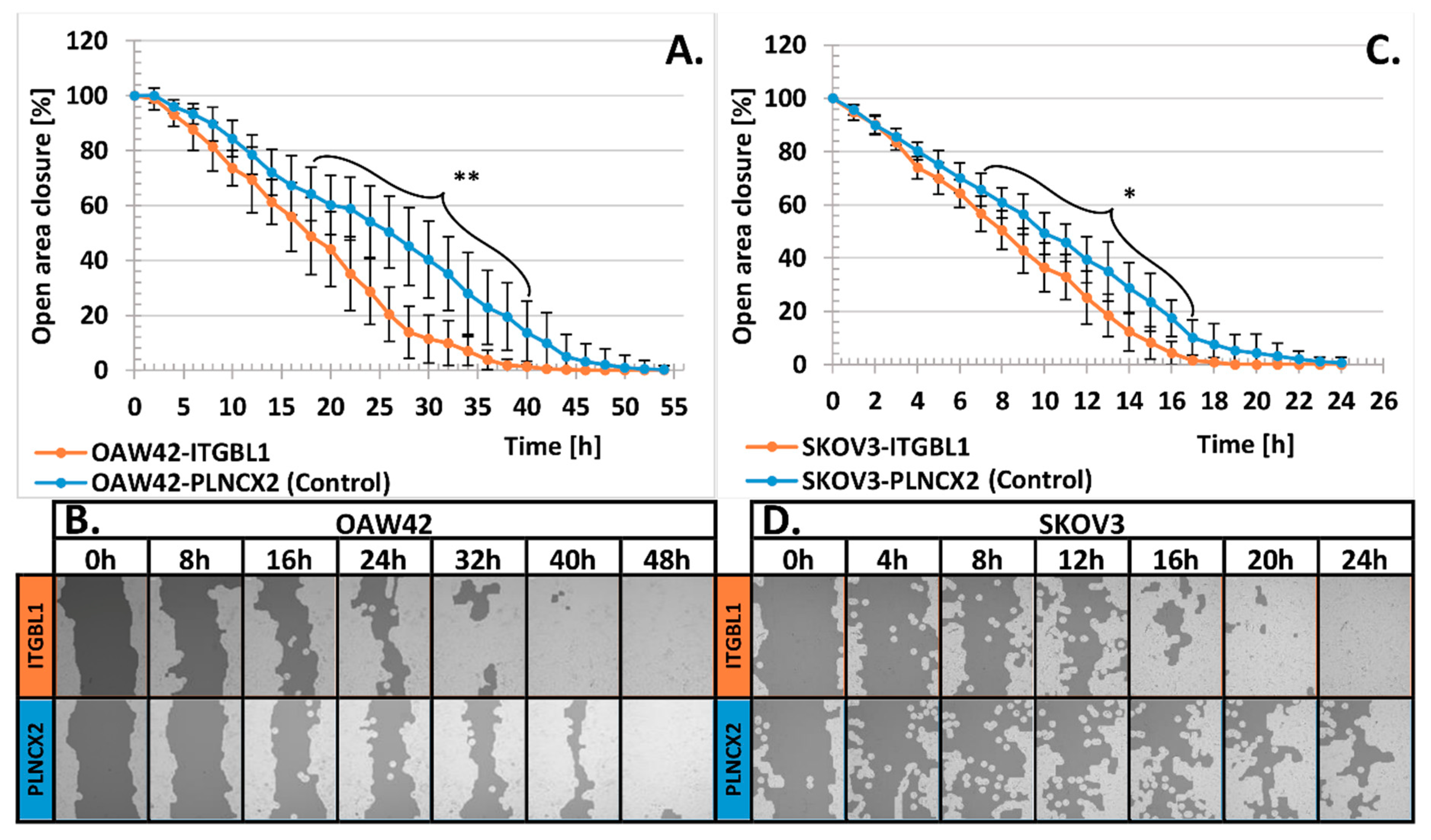 Cancers 12 02676 g005