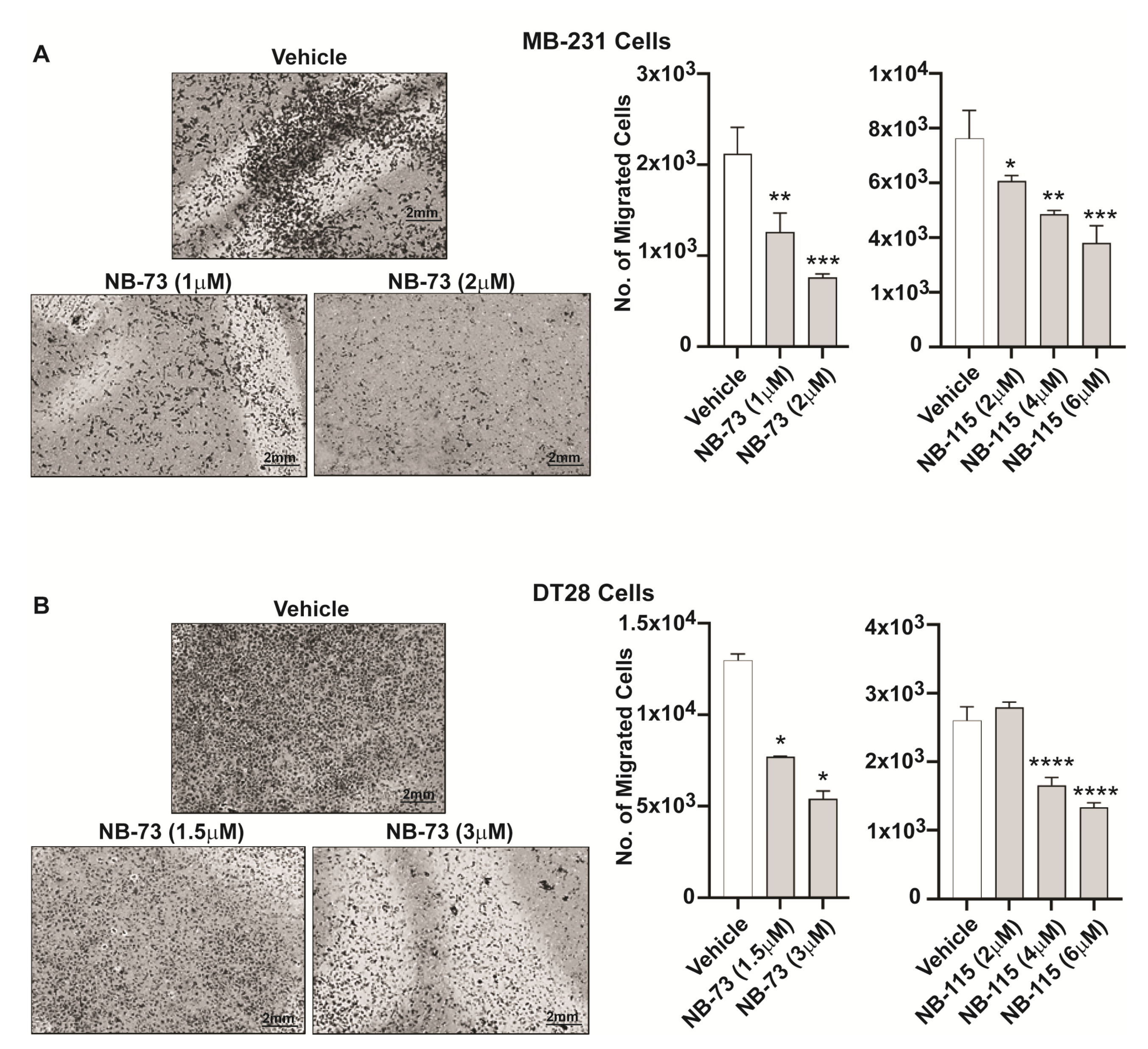 Cancers 12 02677 g001